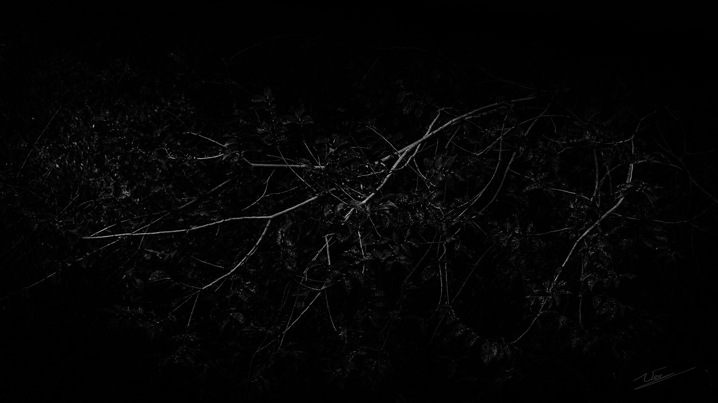 elcome to the jungle but B&Amp