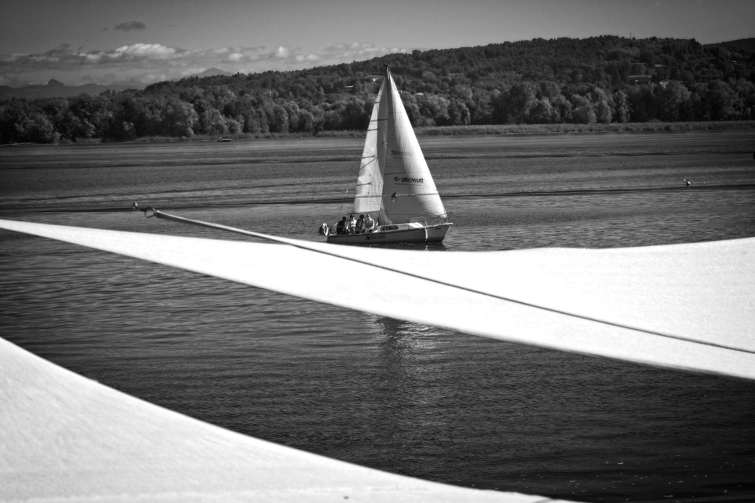 Game of sails