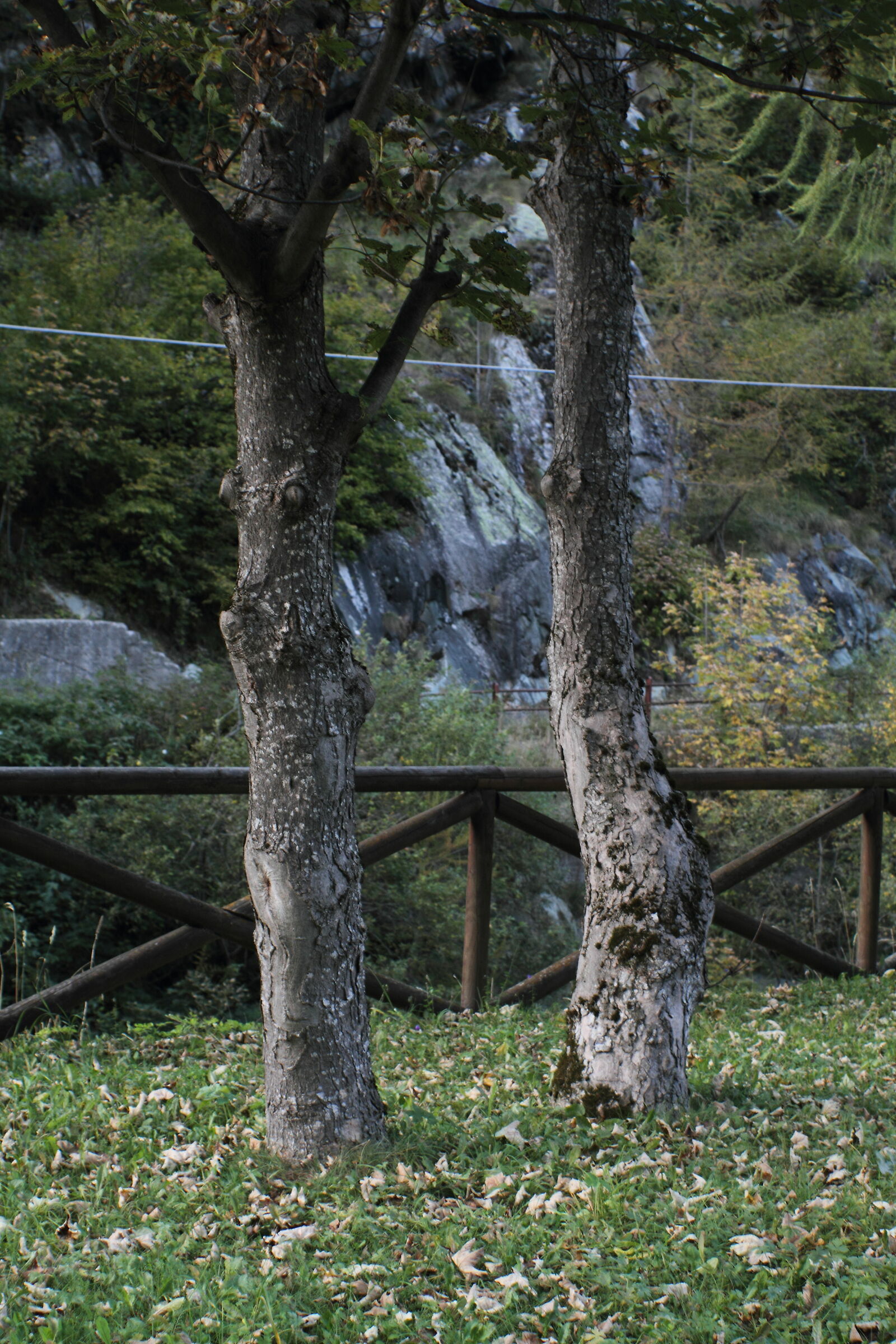 postproduzione assente