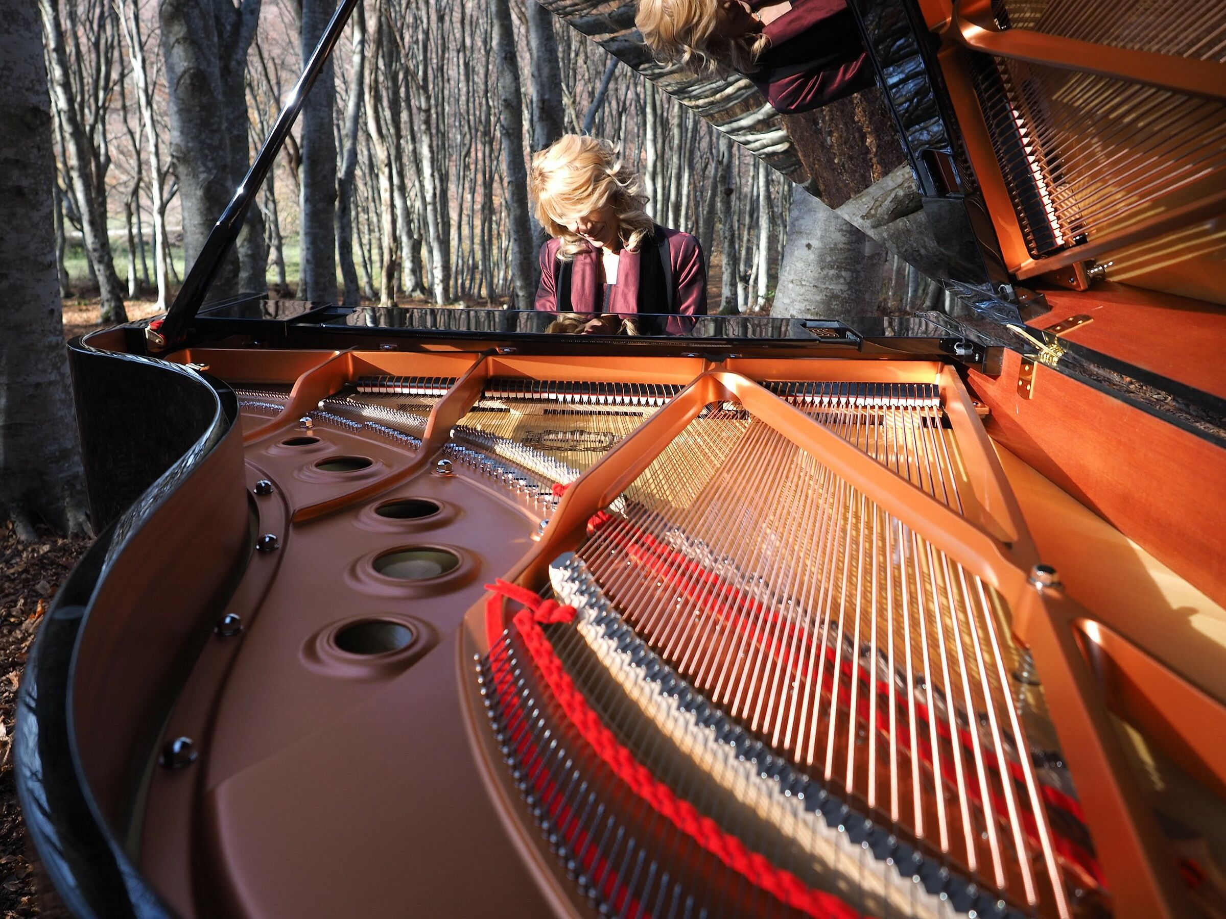 La leggenda della pianista nel faggeto - 3