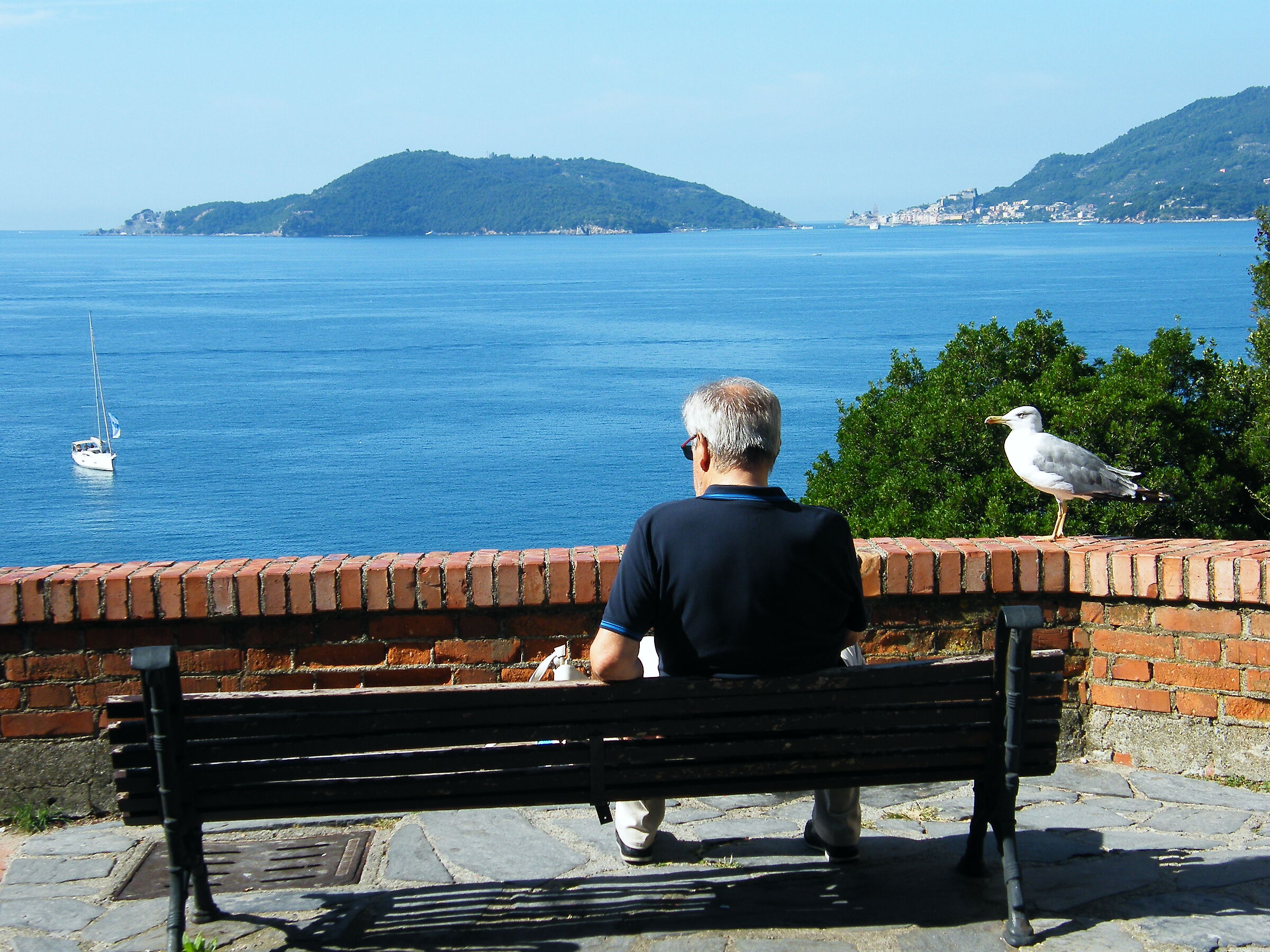 The Old Man and the Sea