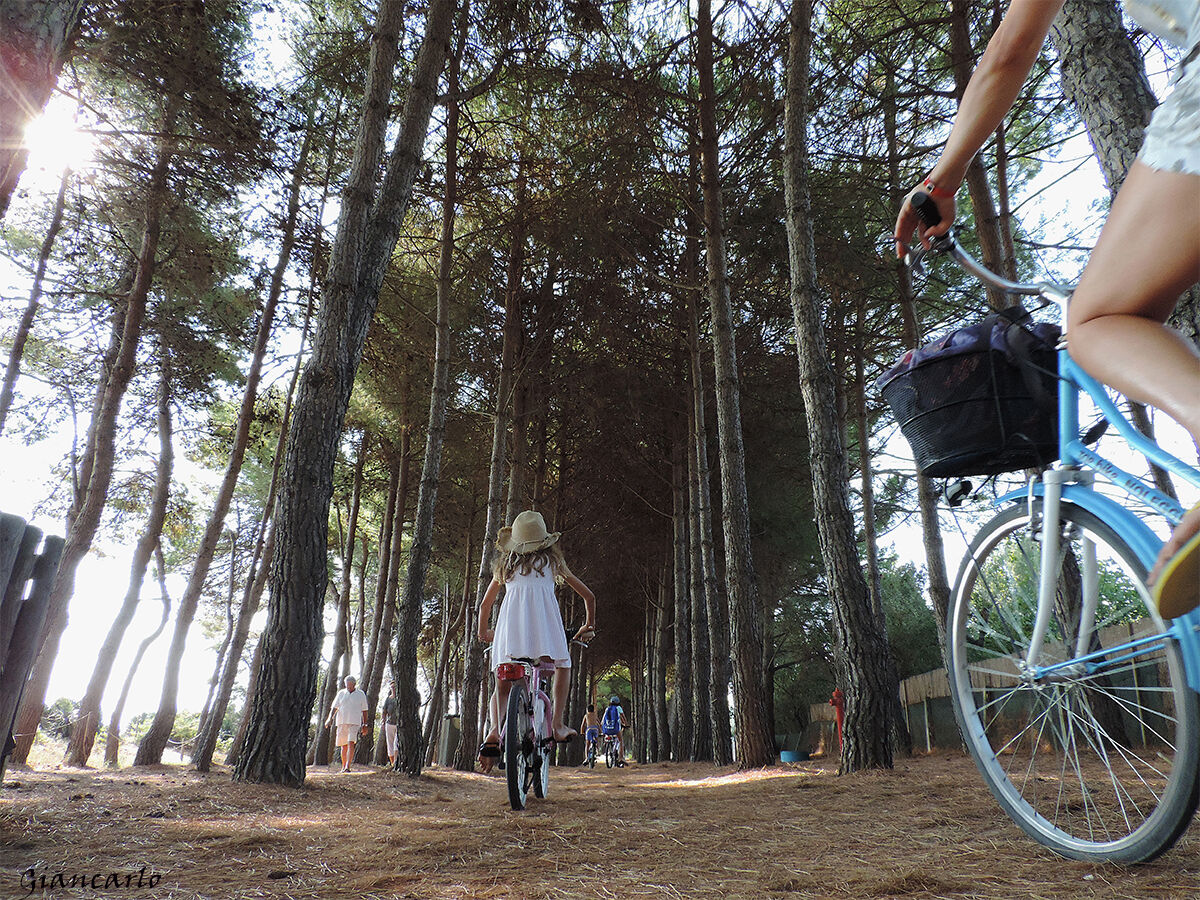 Vediamo se mi prendi