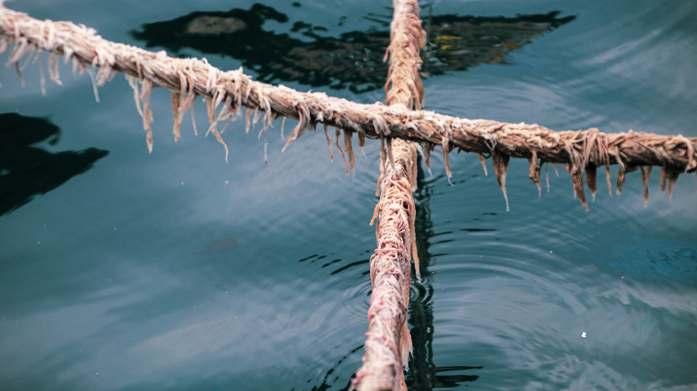 Funi of a fishing boat moored at the dock.