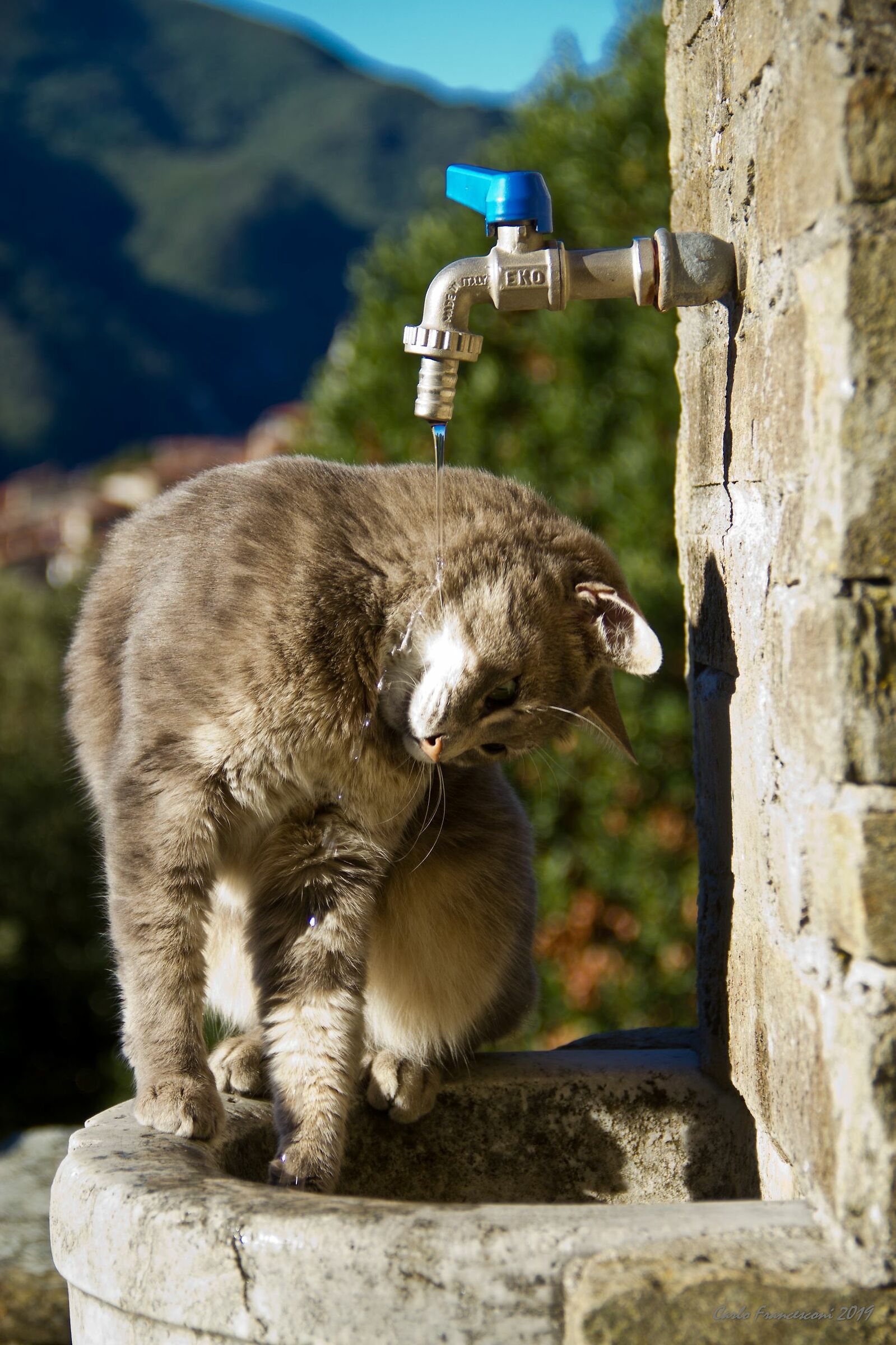 anche da questa parte