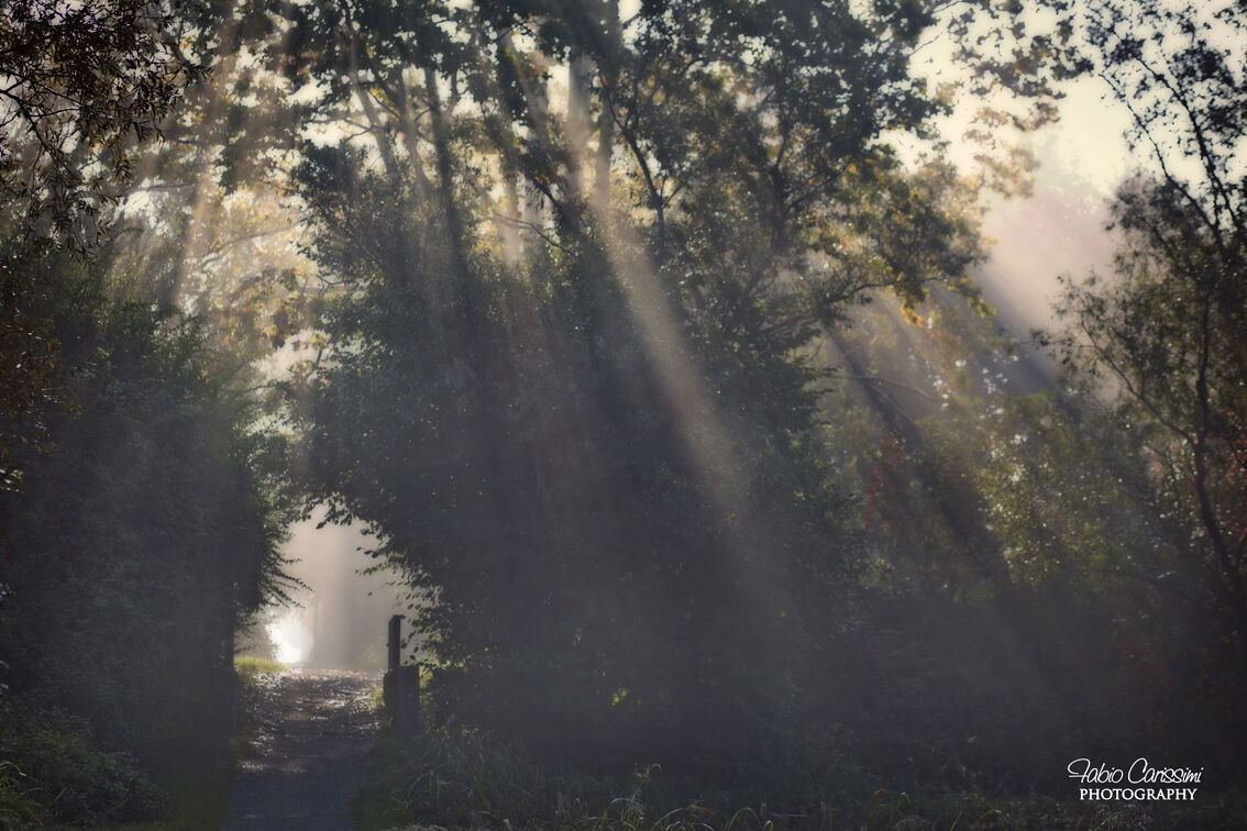 daylight
