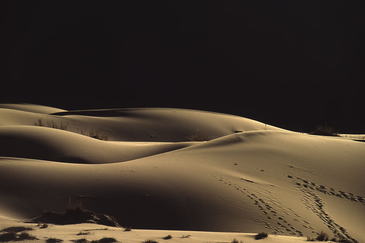 Dune di Sossusvlei - Namibia