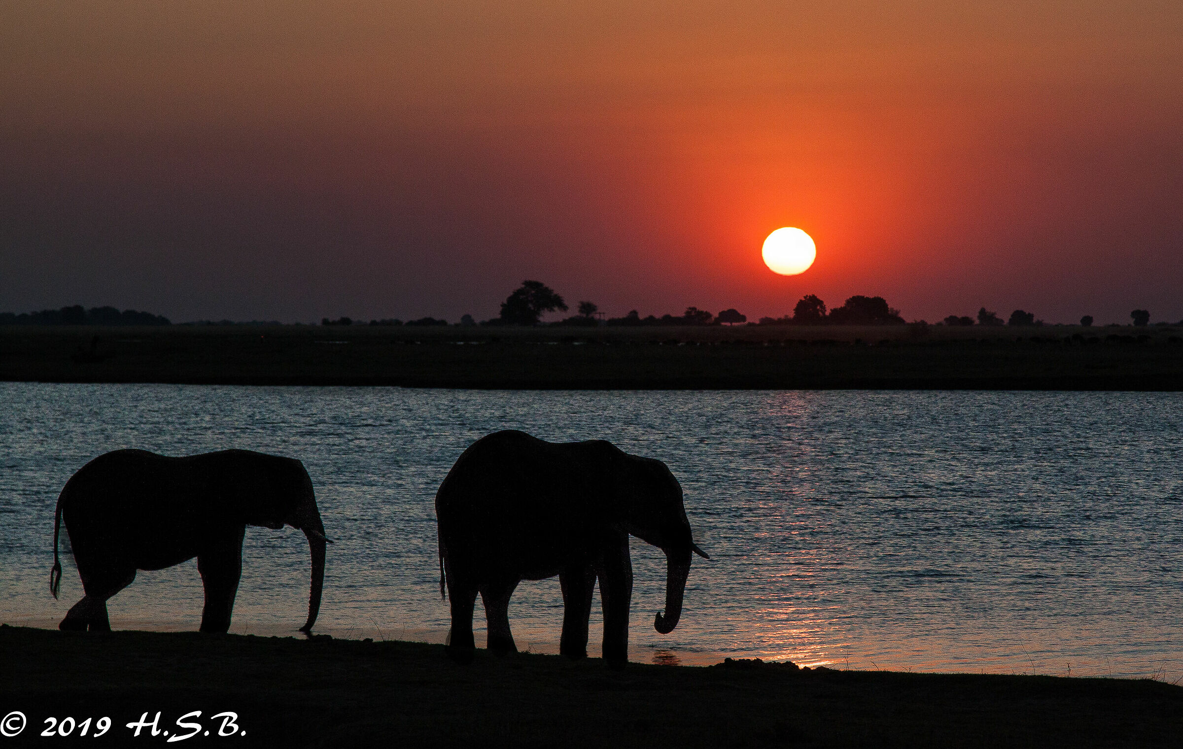 On the Chobe River