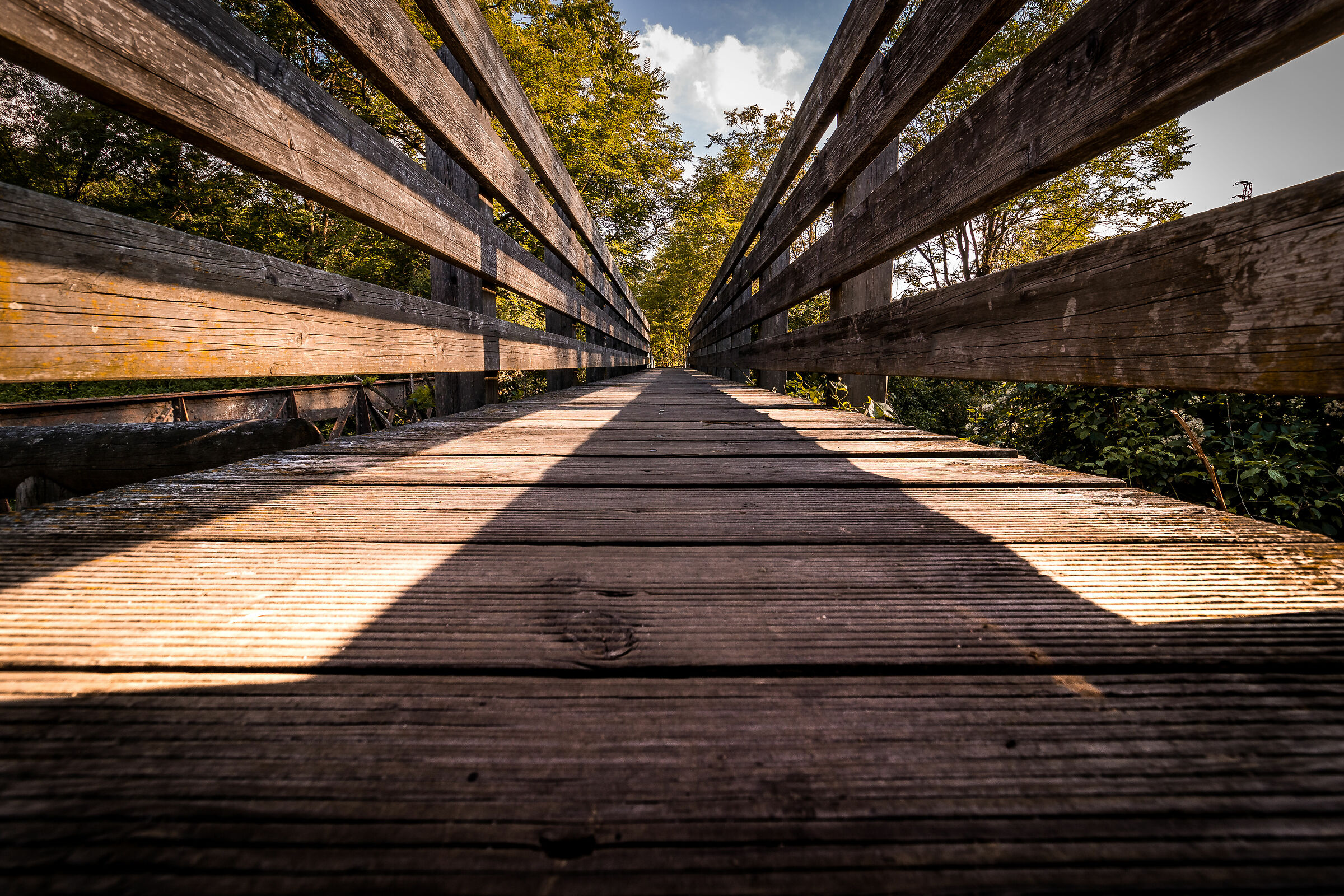 A Bridge over the Olona