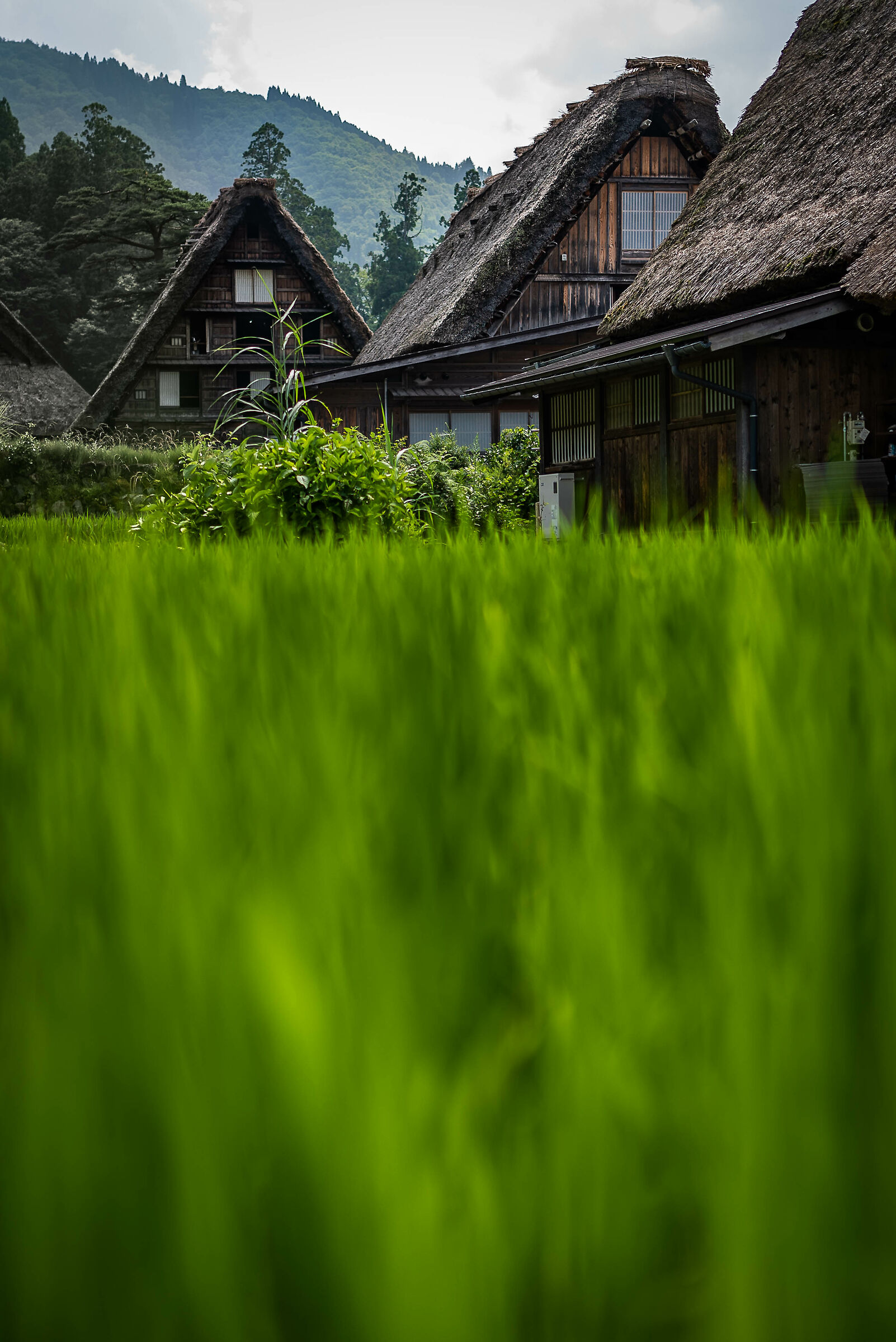 Shirakawa-Go