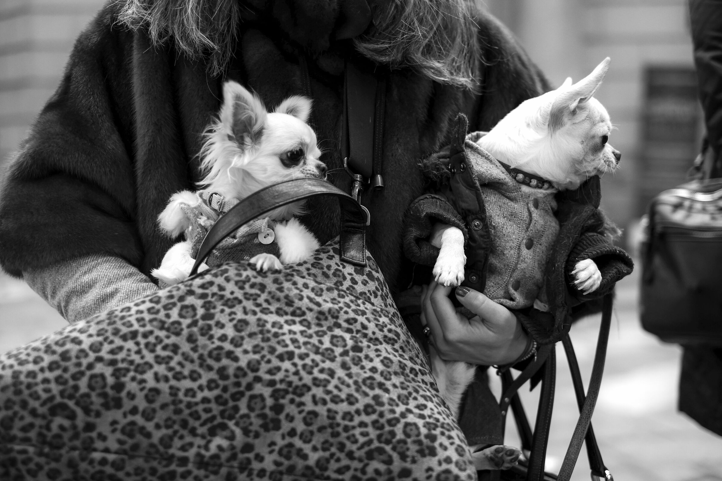 Arriva il freddo. Xpro2 35mm