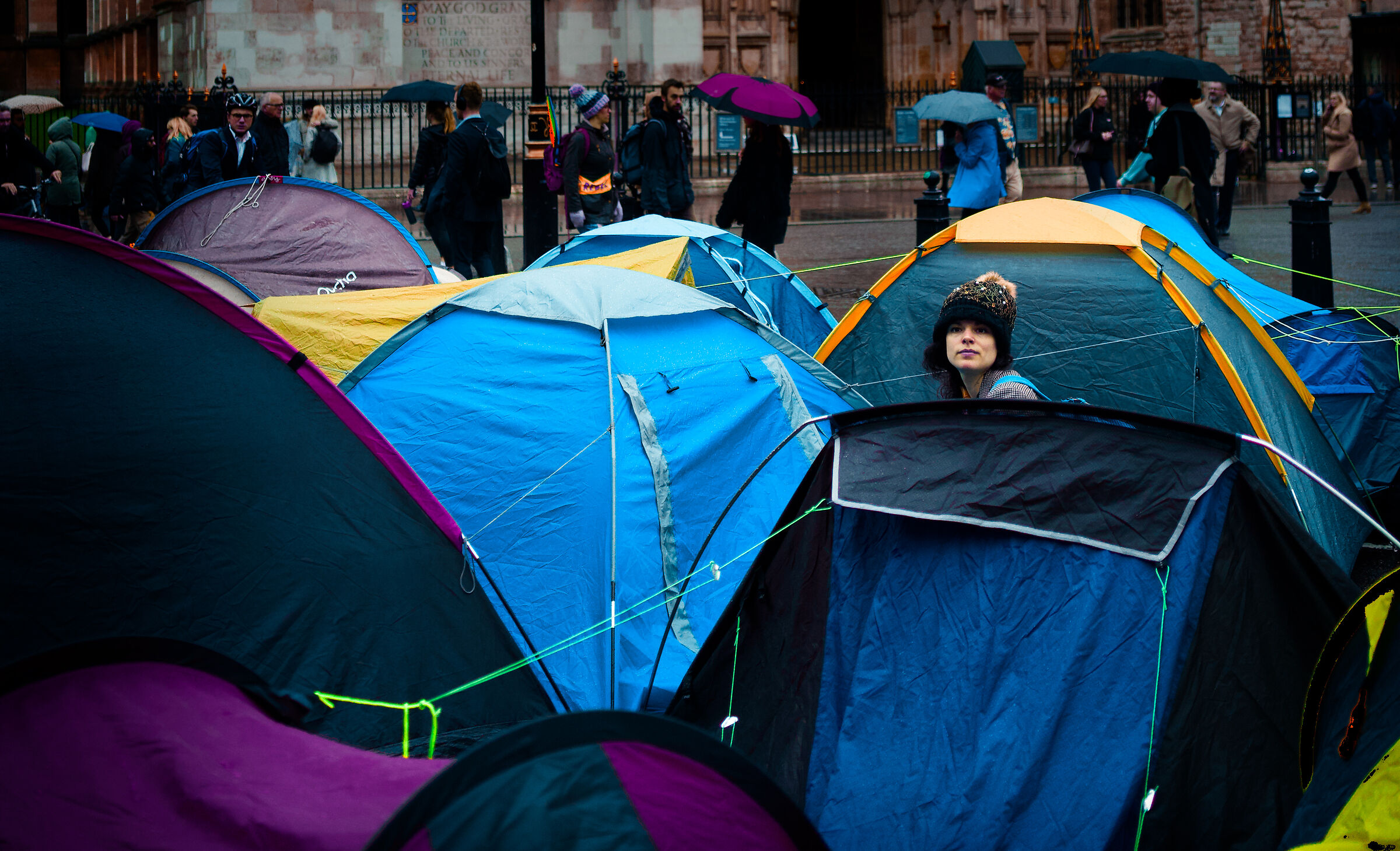 Planting artificial mushrooms