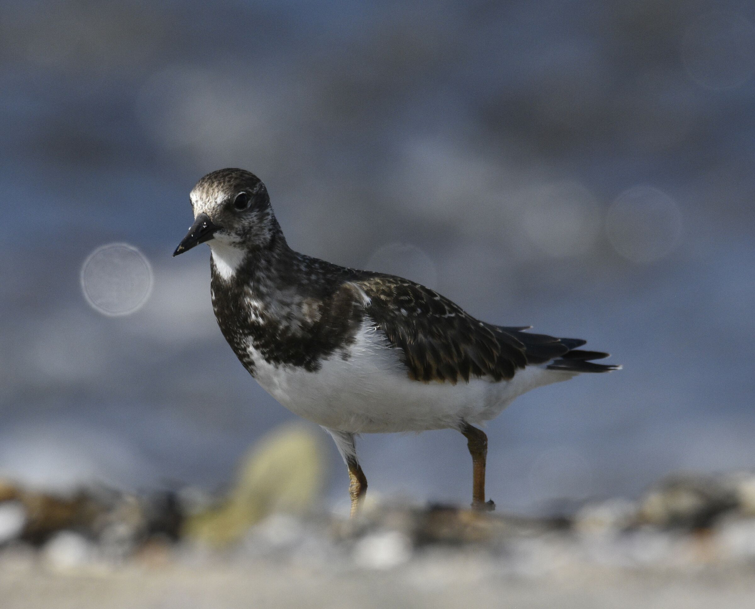 now I'm going to hole this light balloon