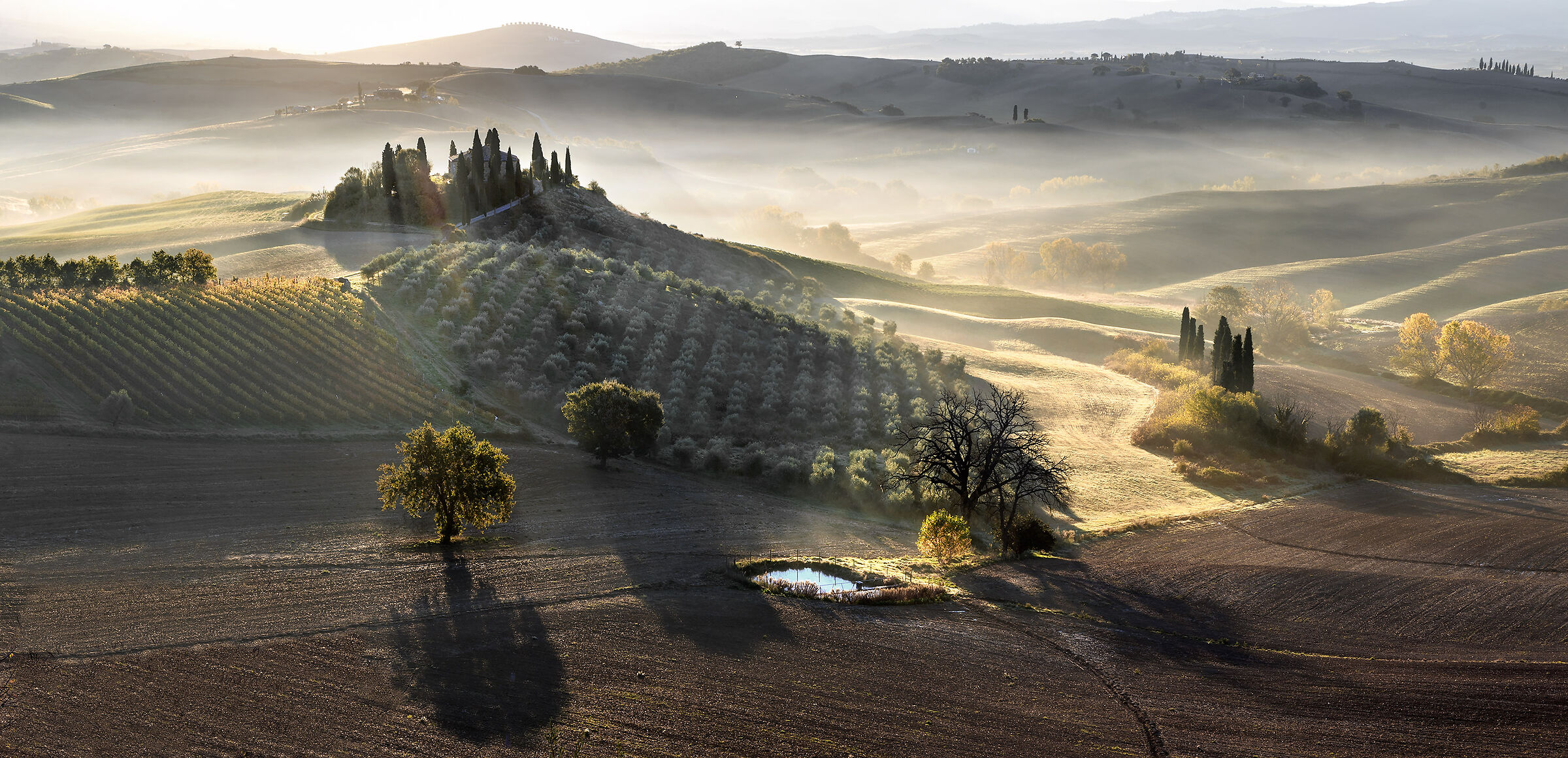 The Belvedere in the backlight