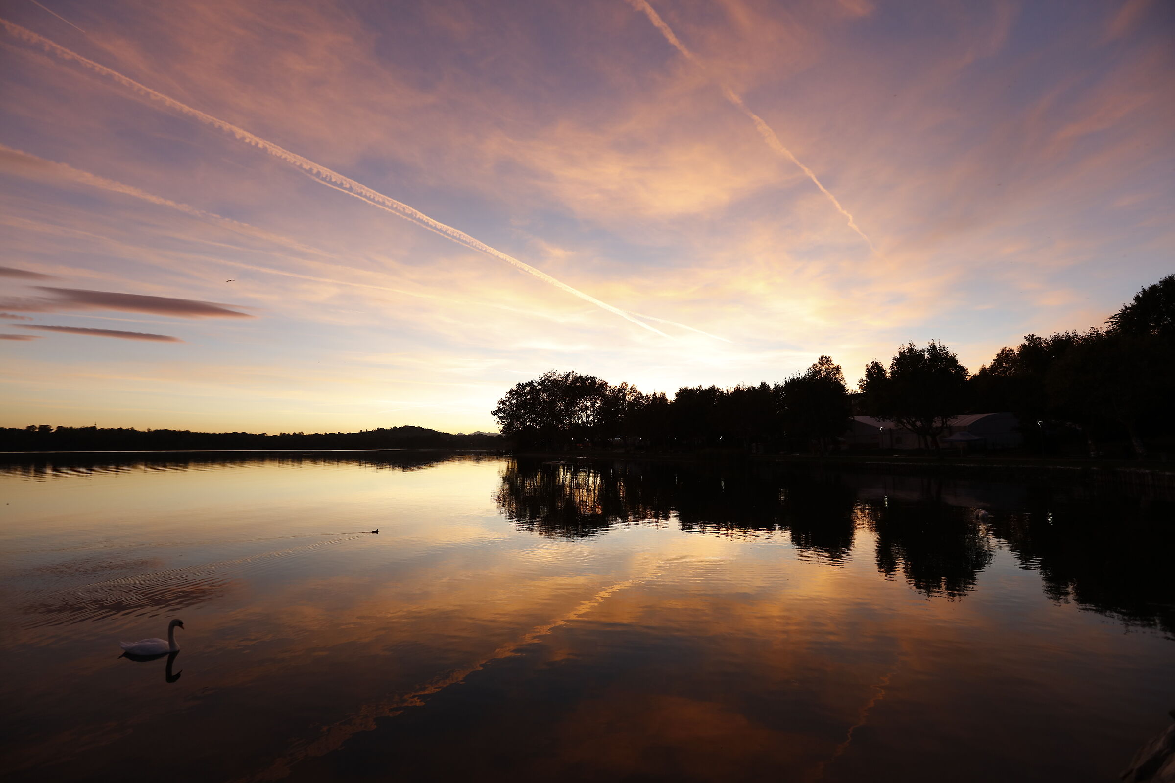 Simmetrie Imperfette