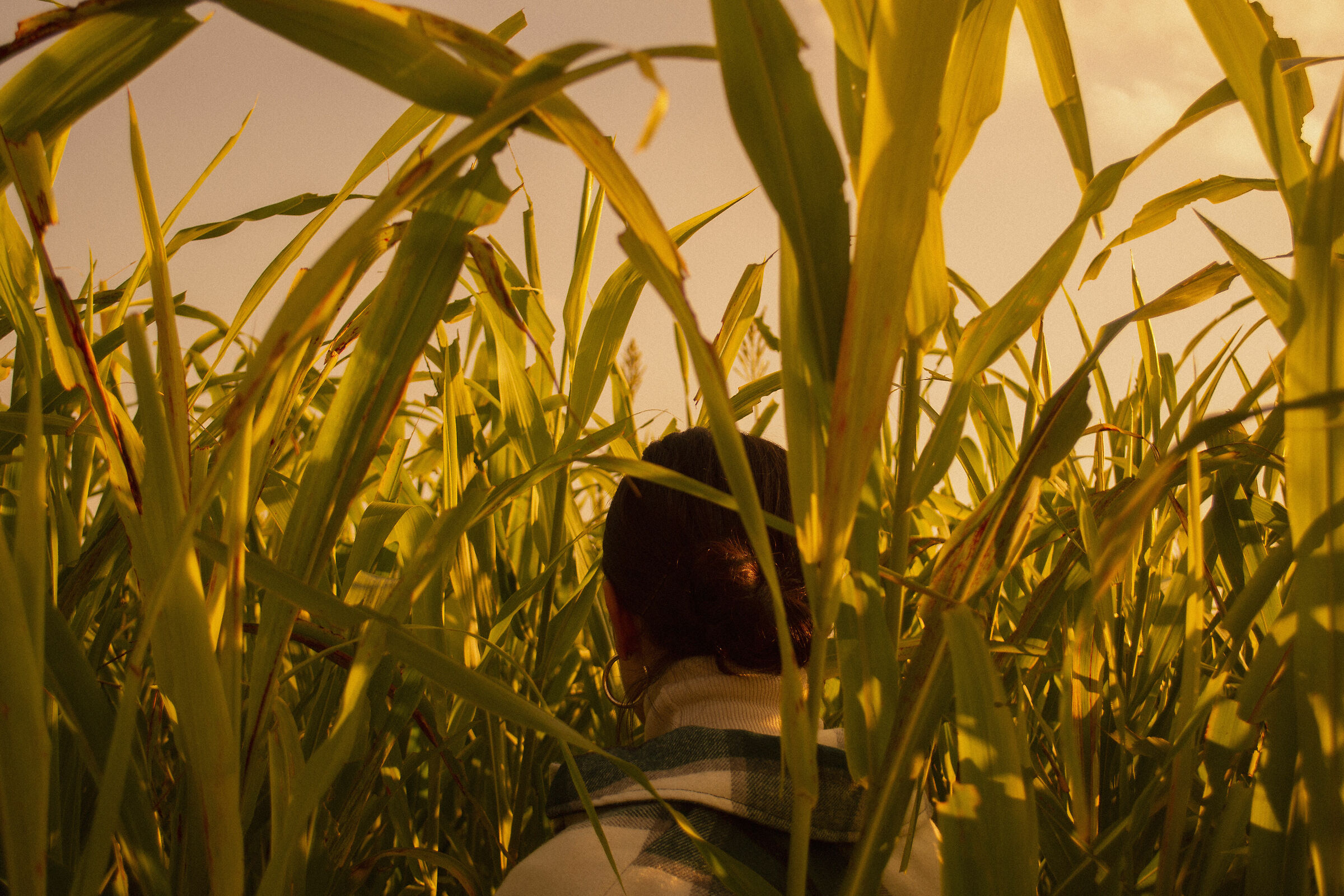 in the middle of nowhere