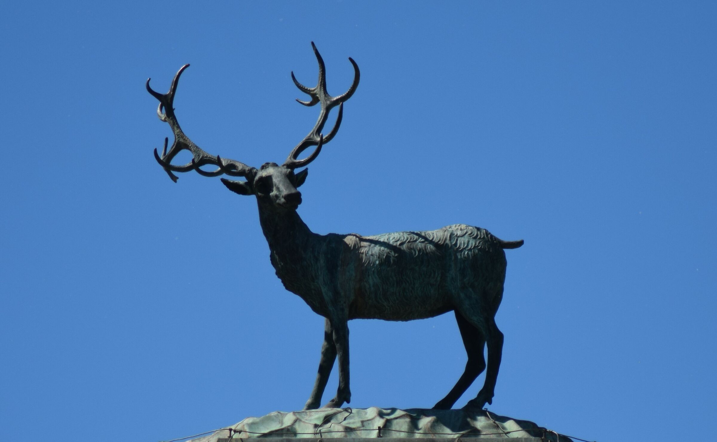 Particolari cervo in bronzo Stupinigi ( To )