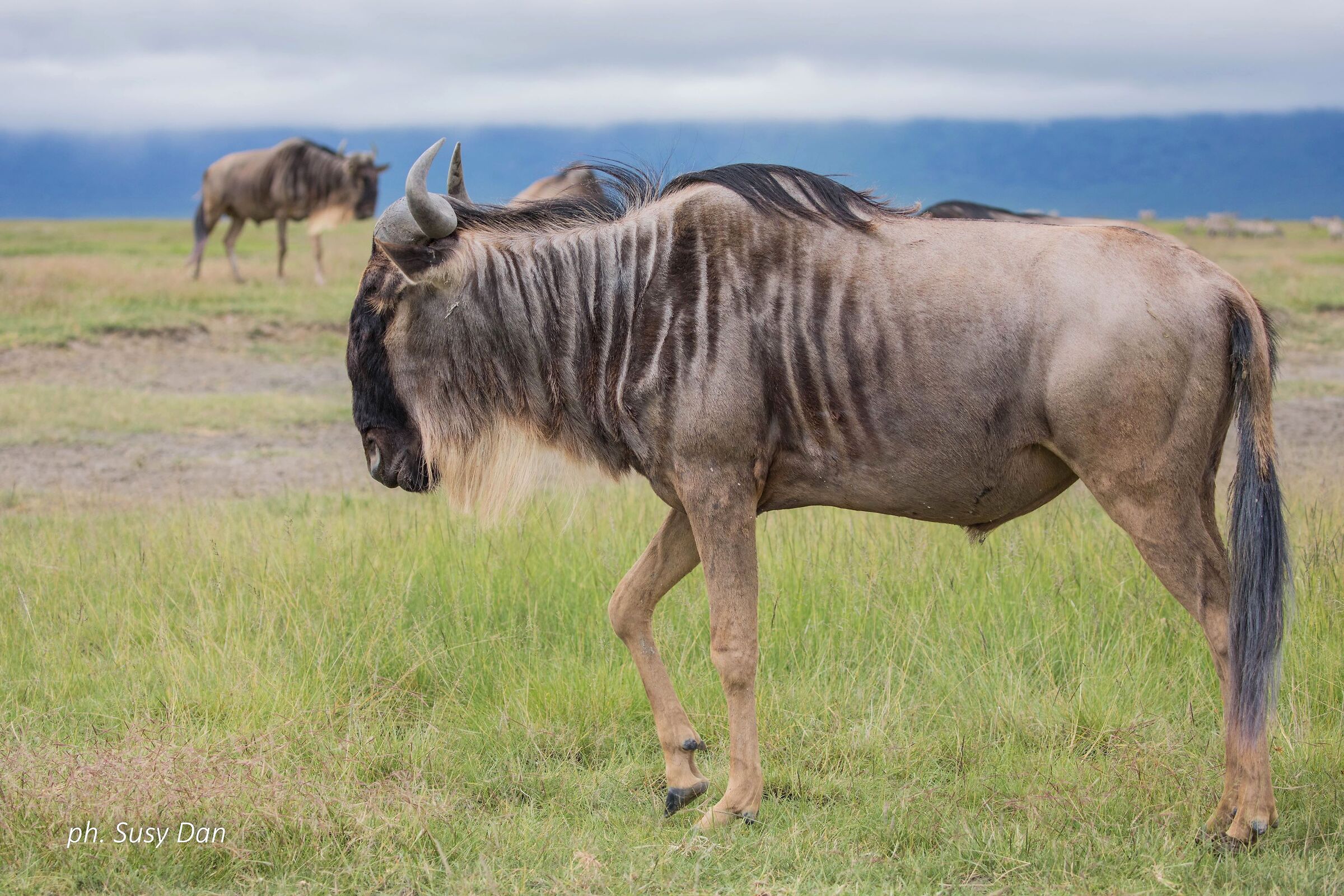 Ma davvero sono brutto?