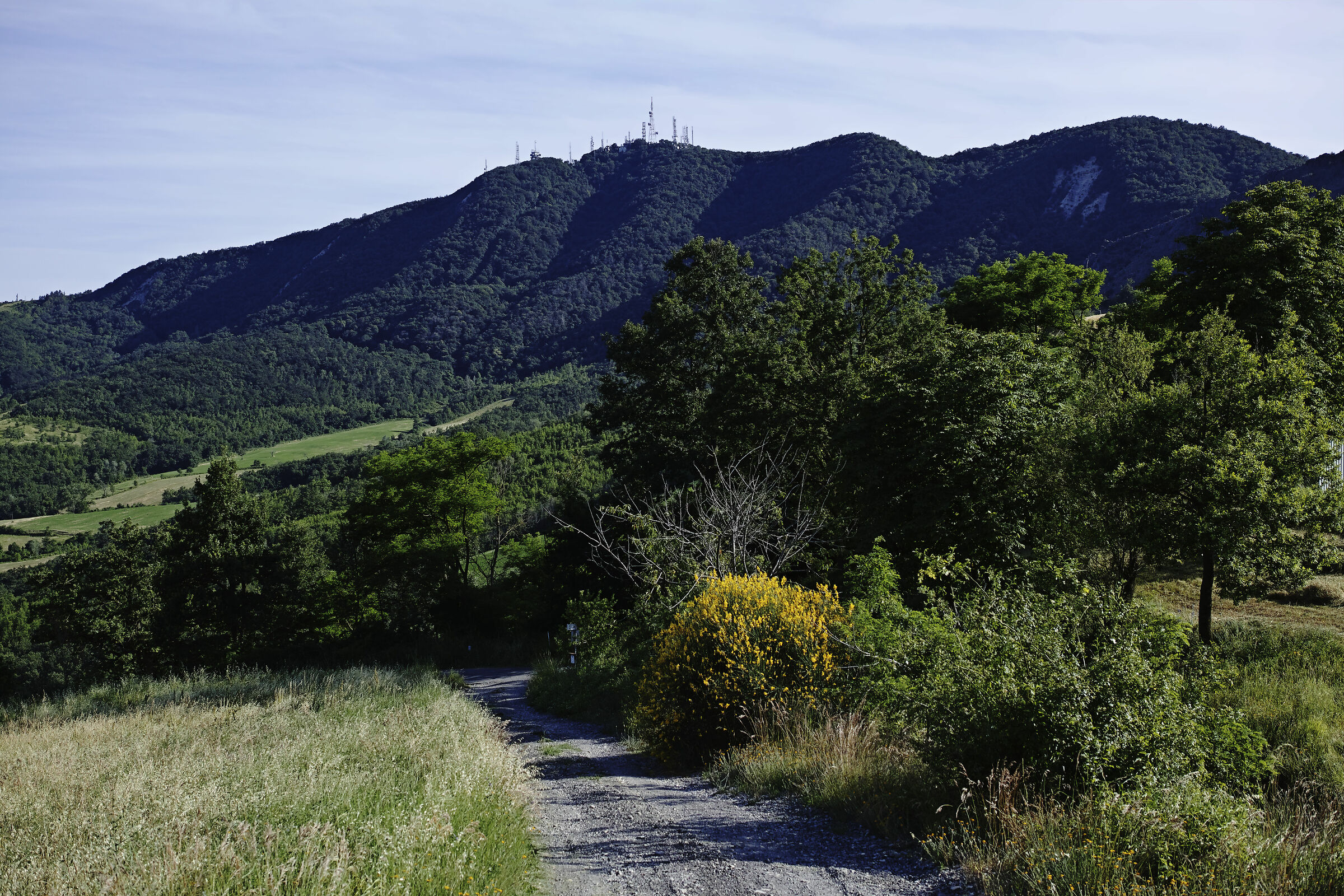 Il monte Canate (Pellegrino P.se - PR)