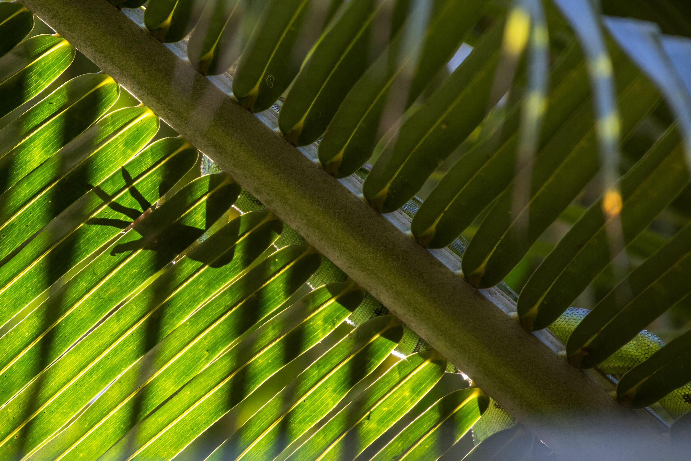 C'è qualcuno lì...