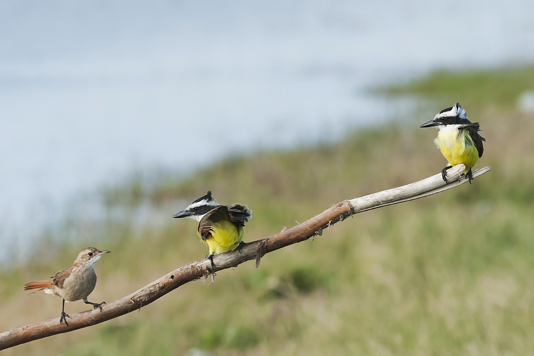 due contro uno... (non molloooooooo)
