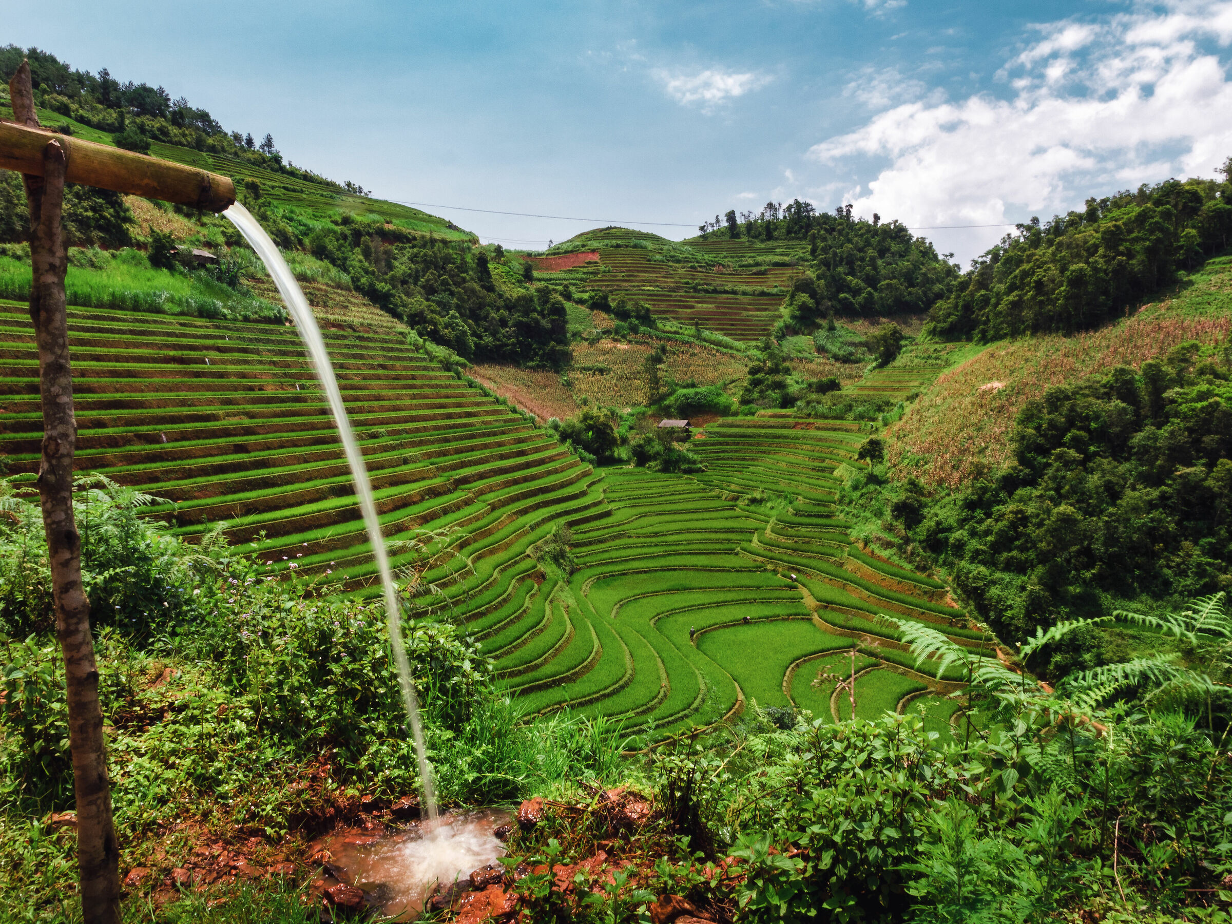 Mu Cang Chai, rice paddies