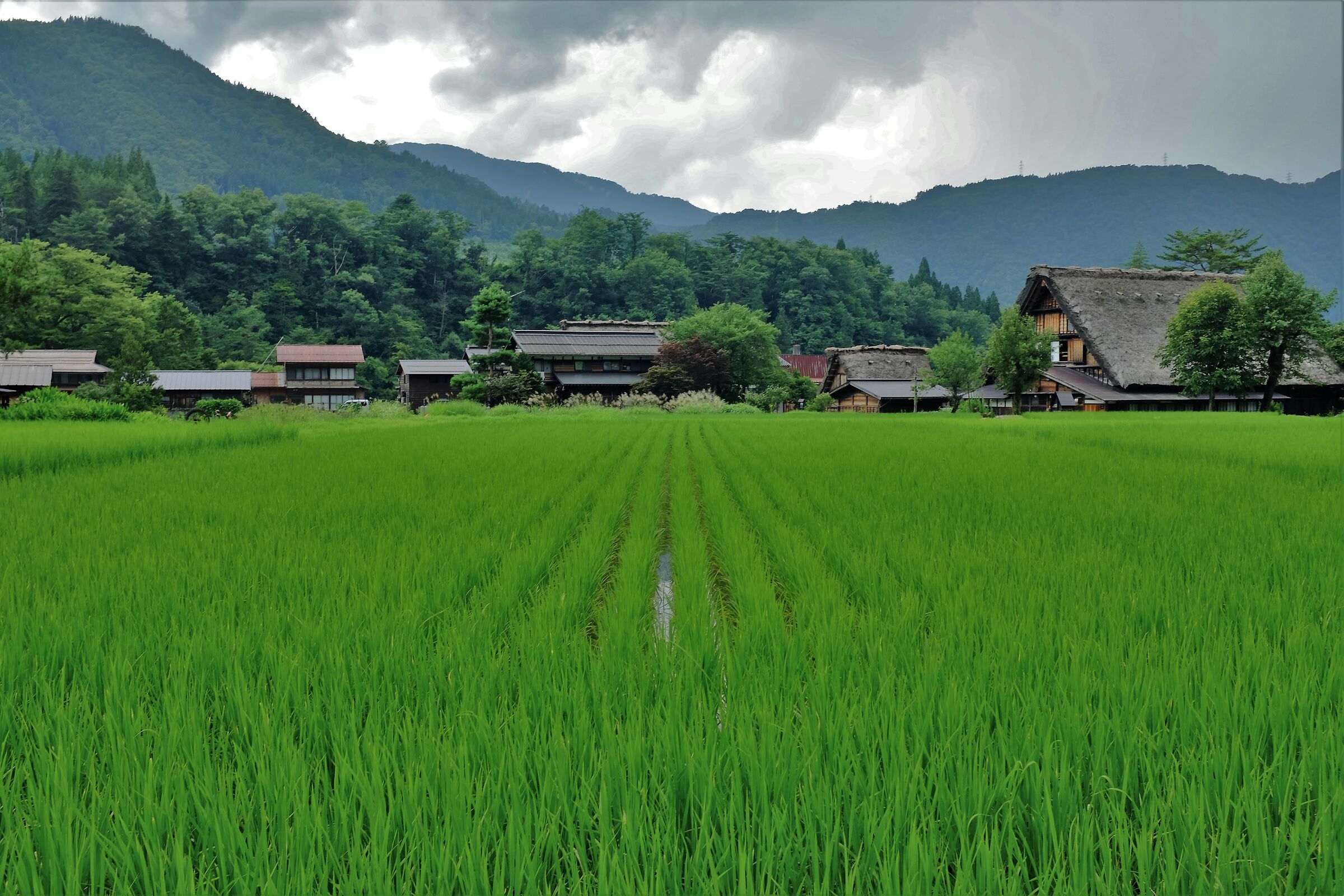 Shirakawa-Go