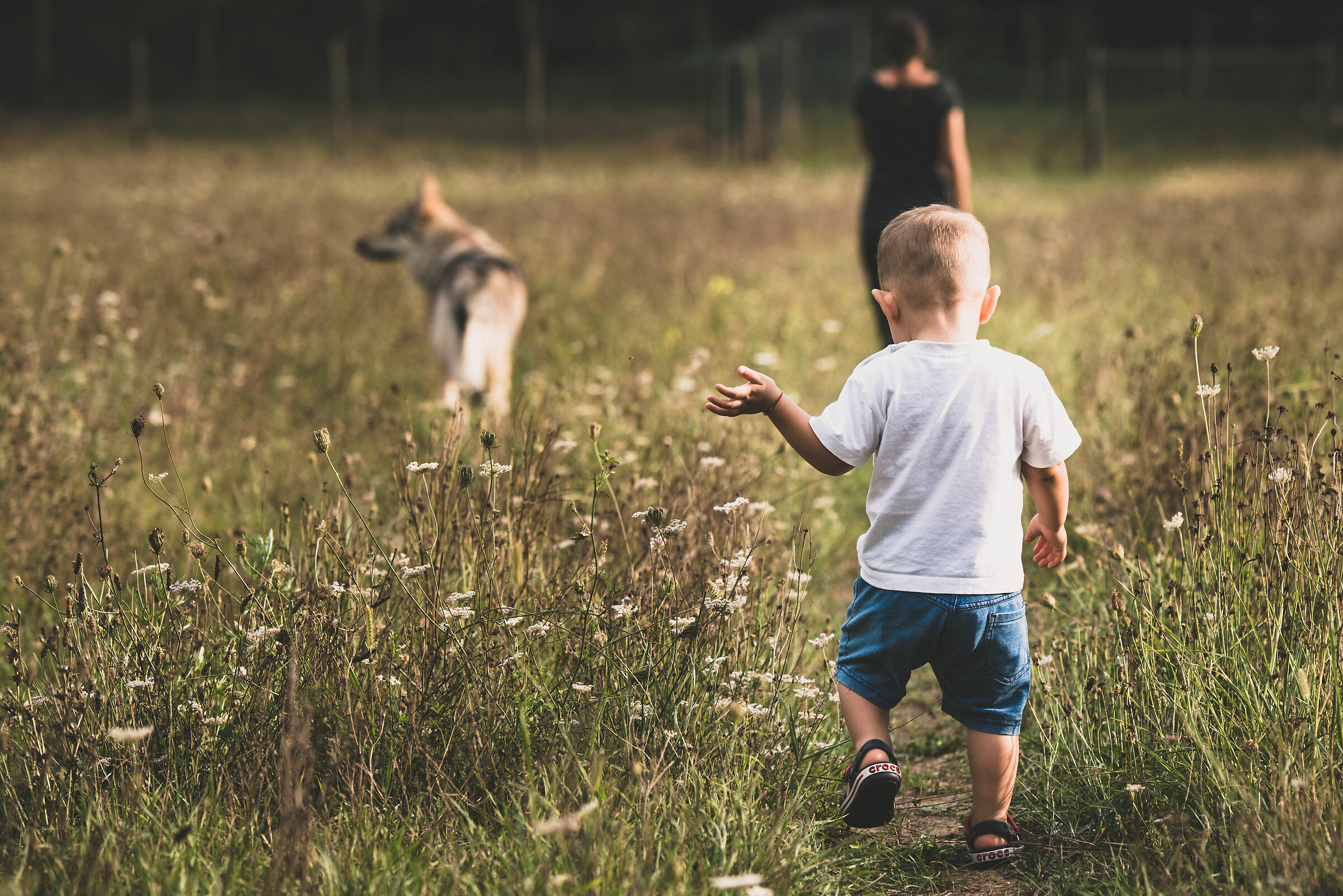 Look ahead my love, nin turn around