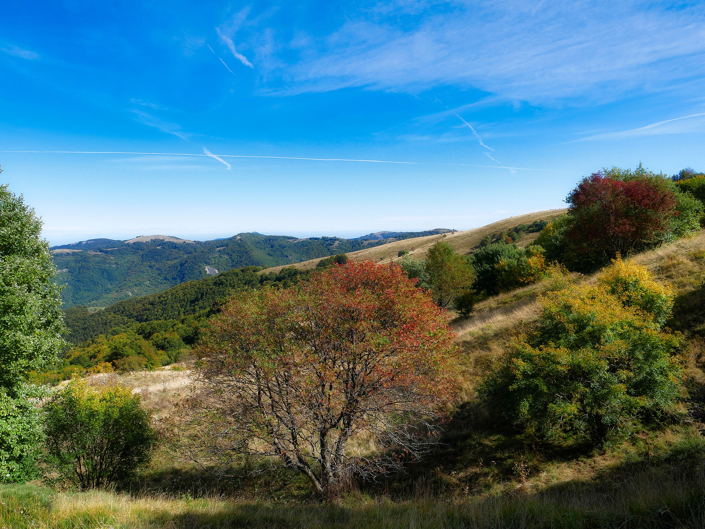 Alta Val Curone - Primi colori autunnali
