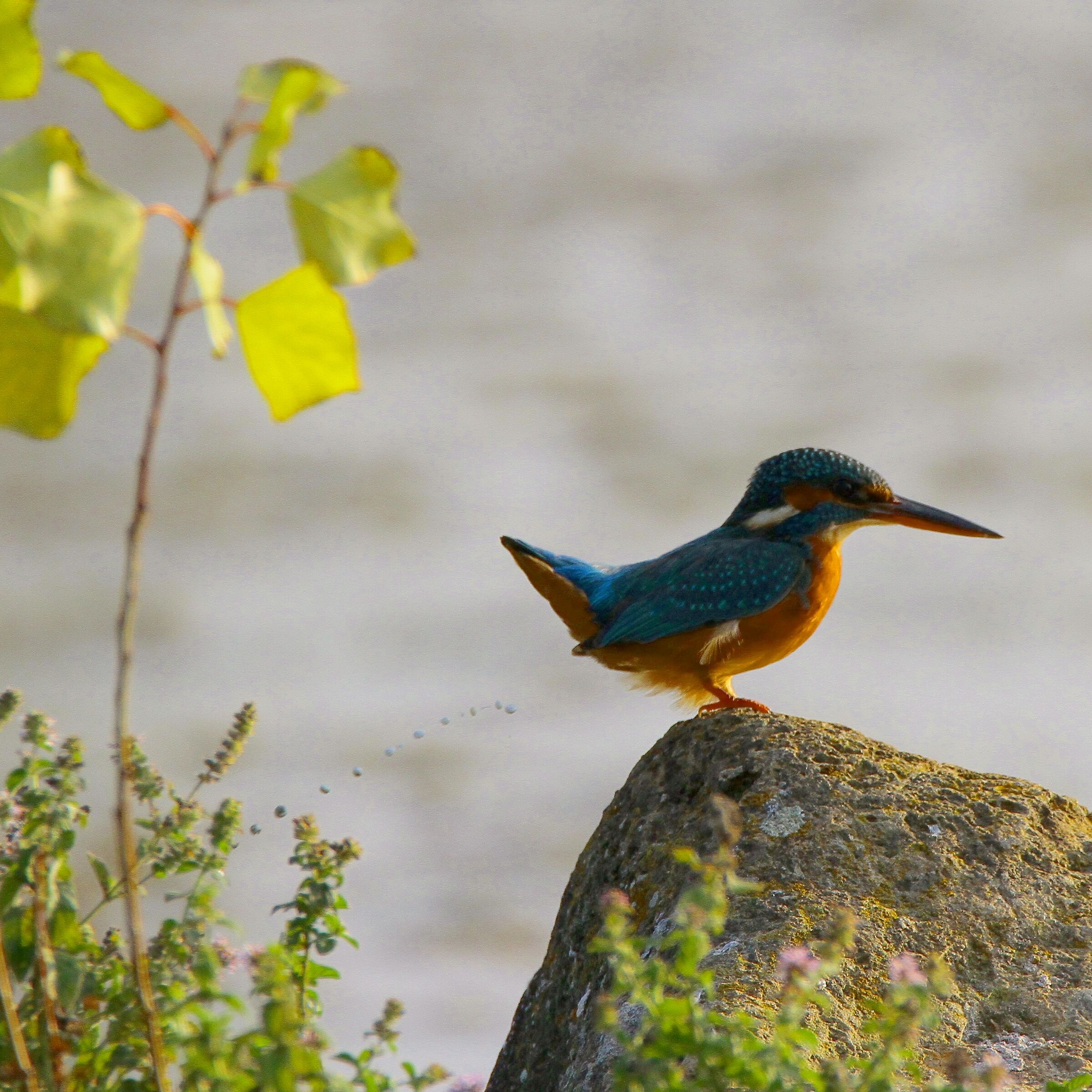 Martina che...spara!!