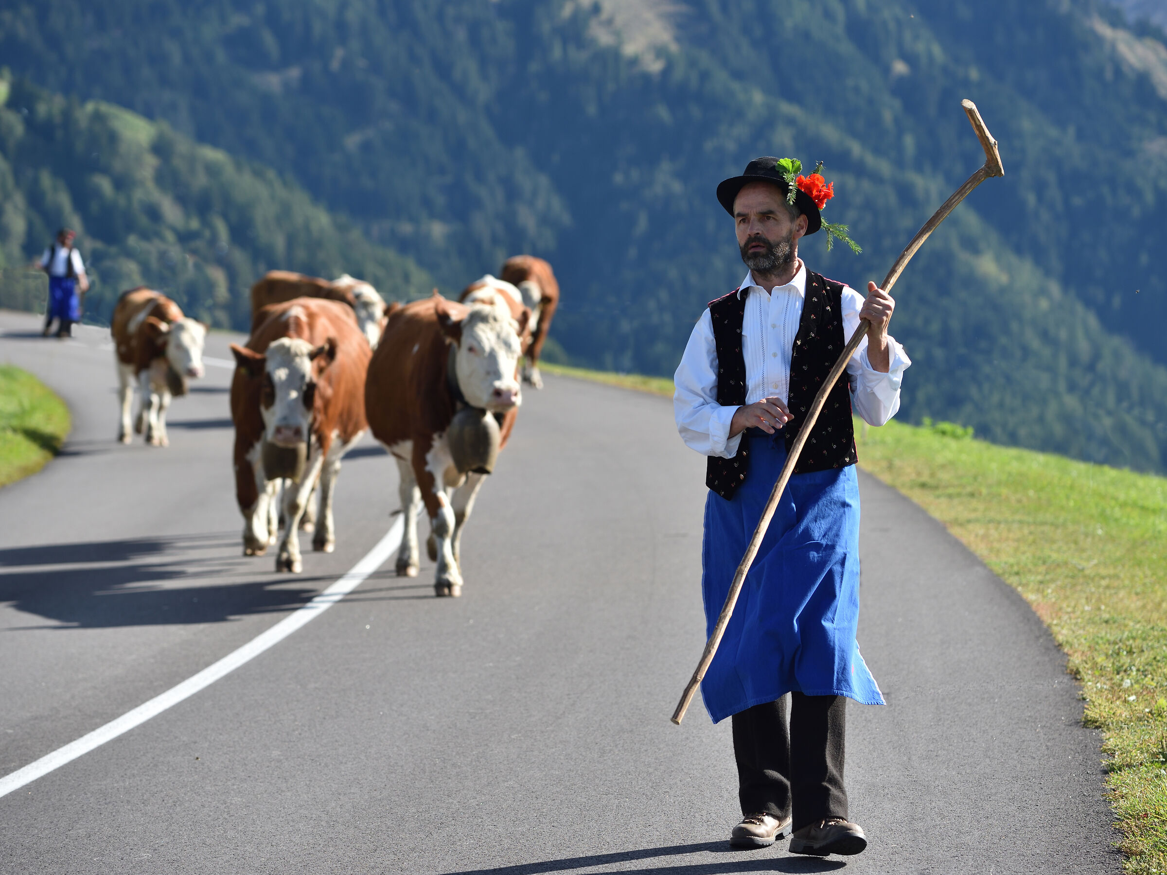 We go home -transumanza to Castelrotto.