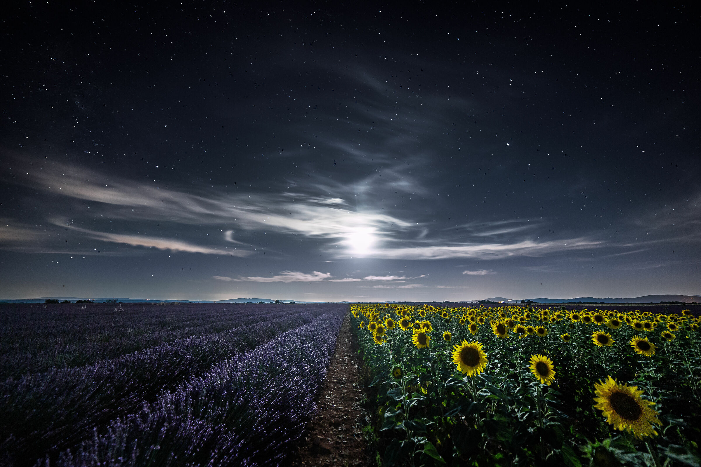 In the Middle of the Moon