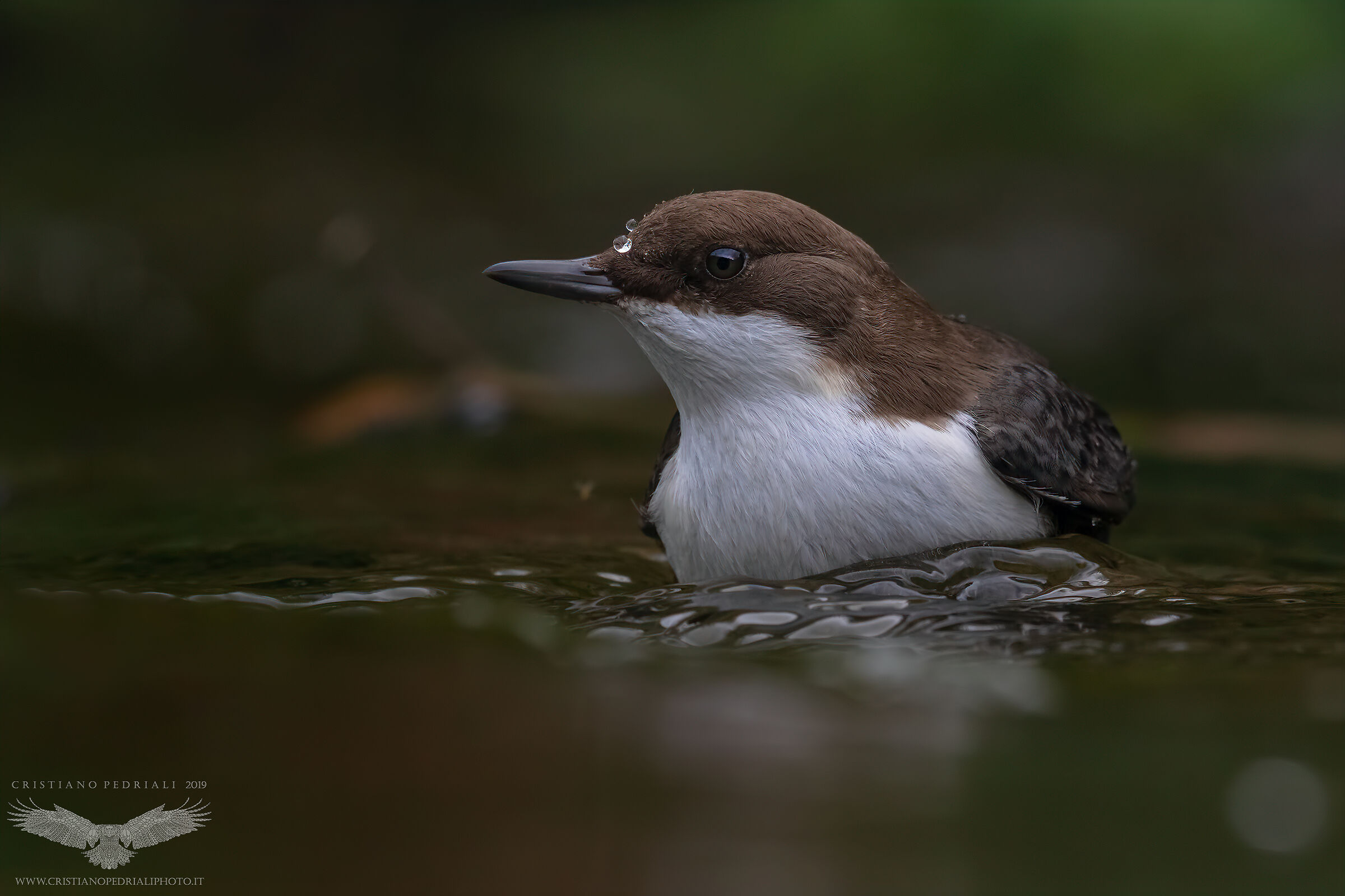 Due gocce sul naso...