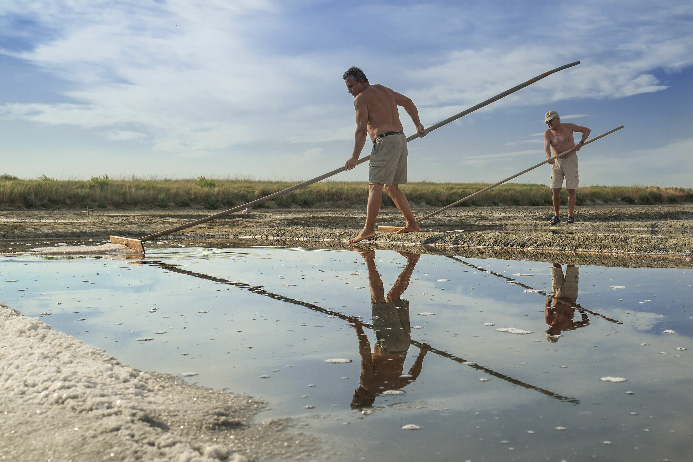 cervia raccolta del sale