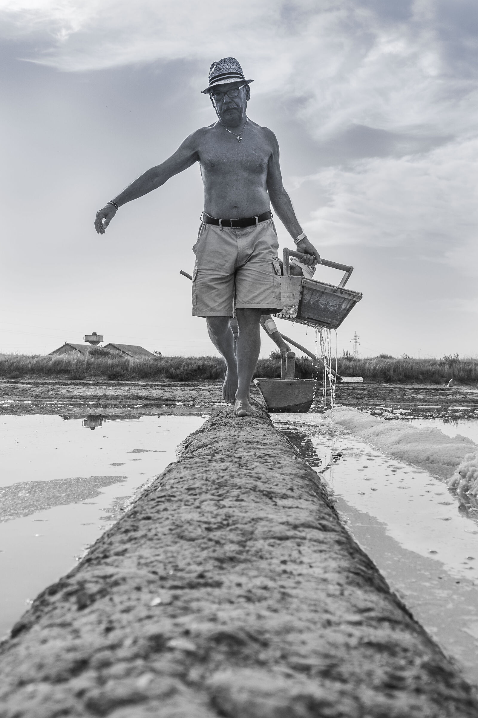 cervia raccolta del sale