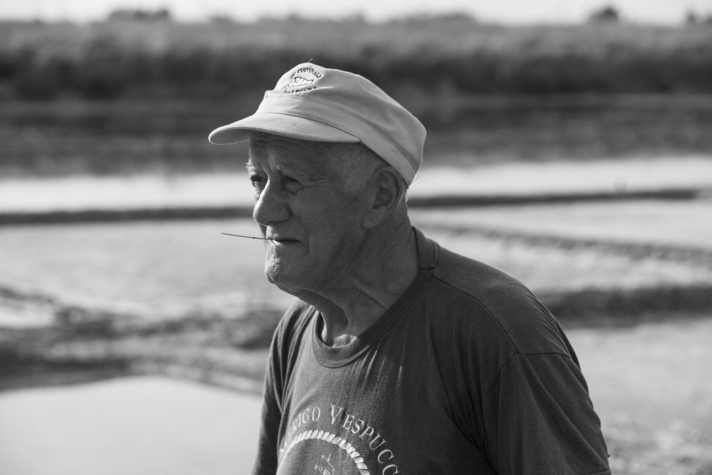 cervia raccolta del sale