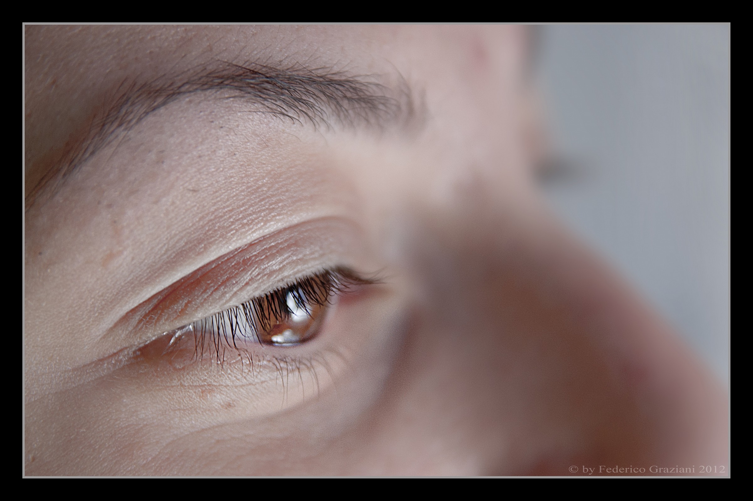 study particular face 4