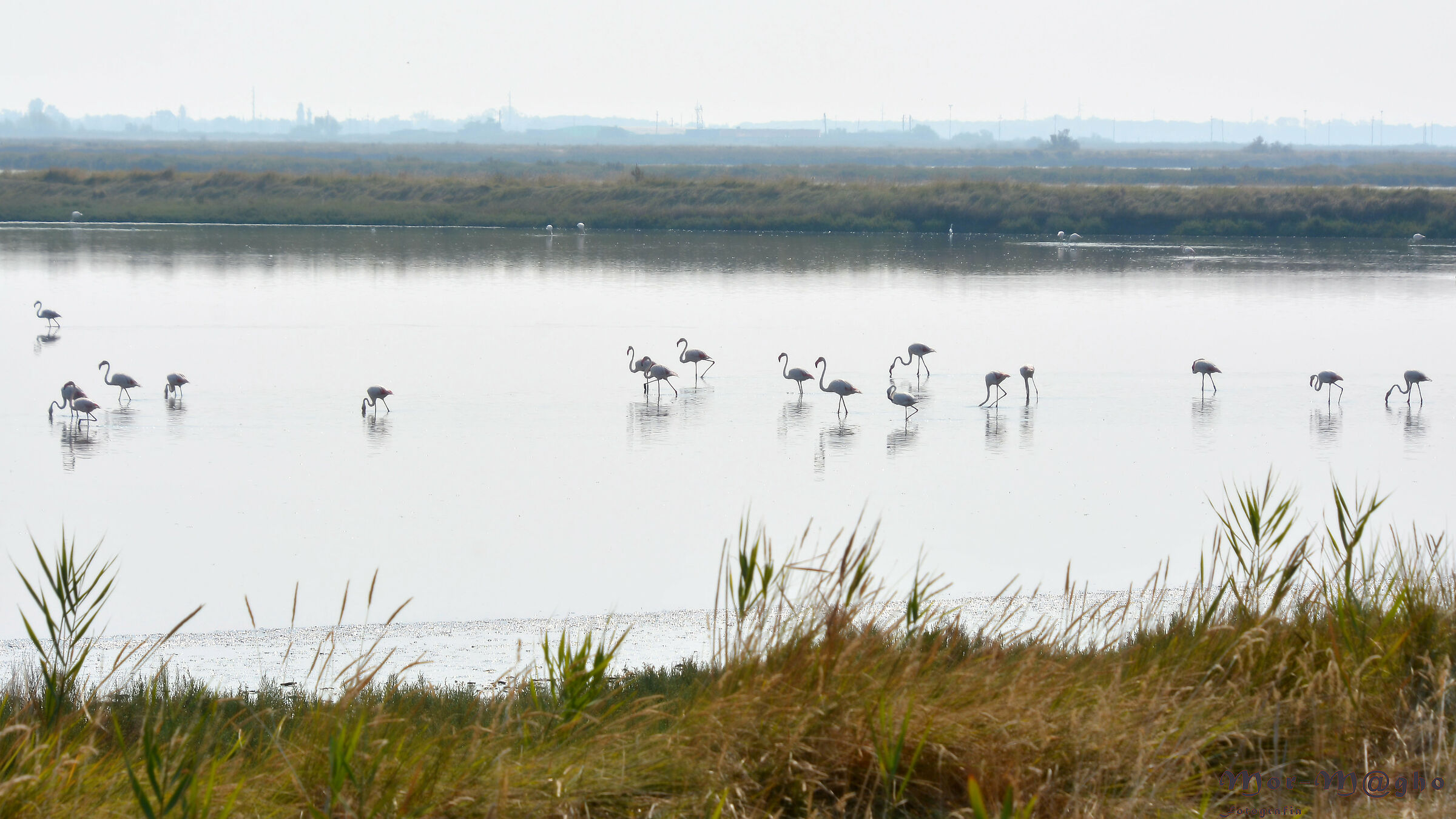Nelle Valli all'alba