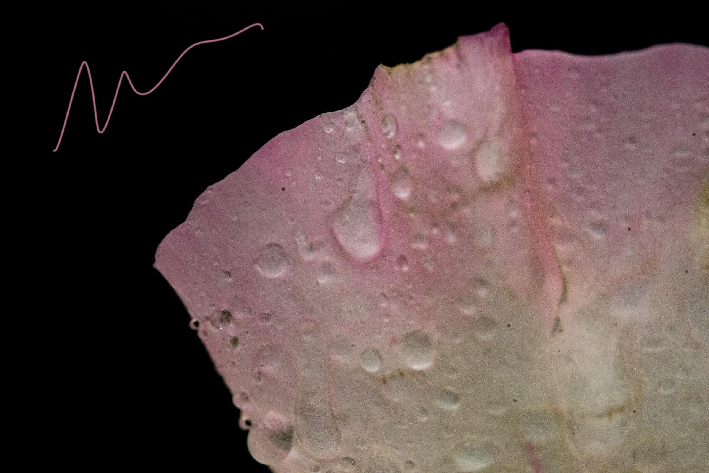 Everything is marvel.