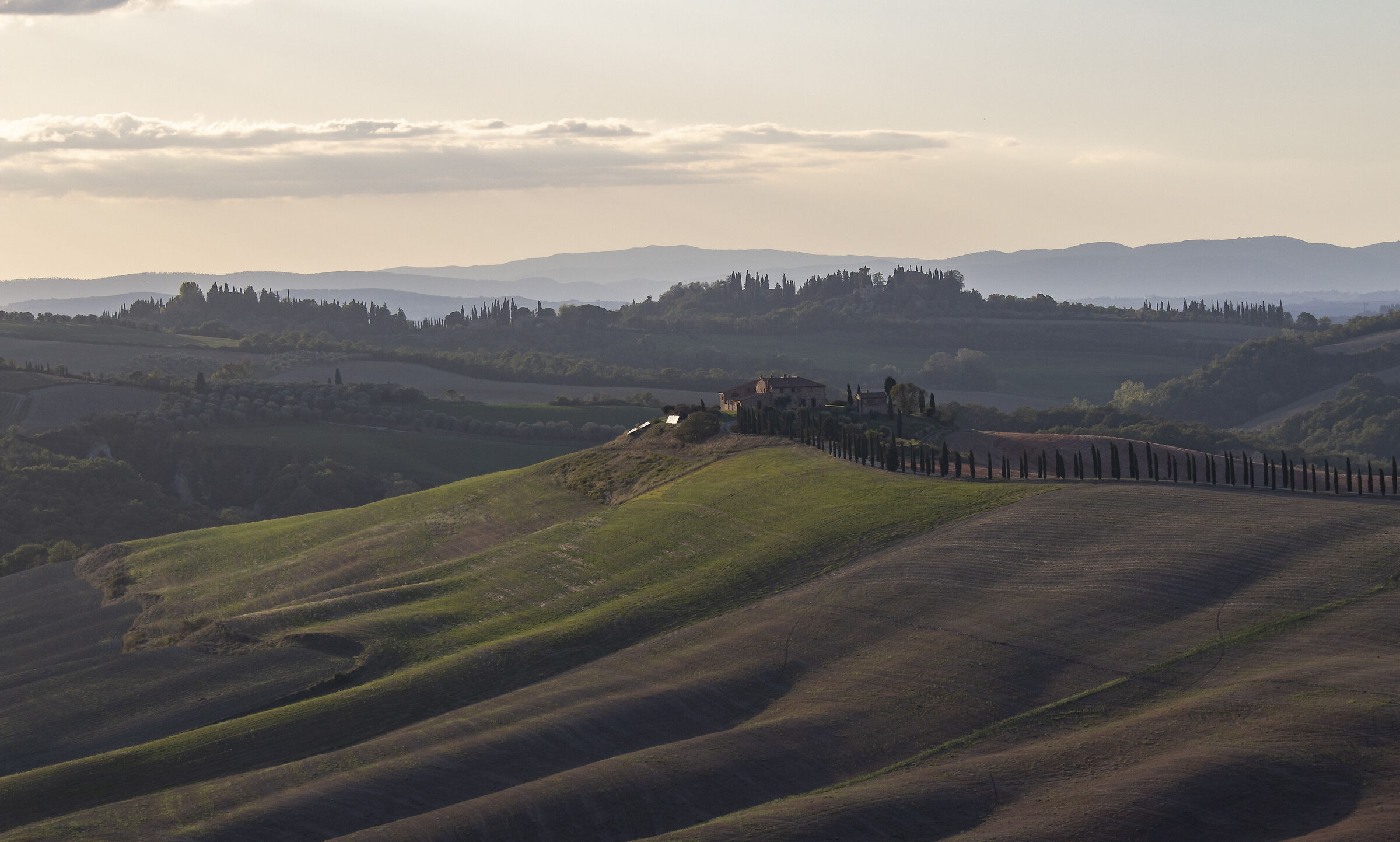 The sweet shapes of Val D'Orcia