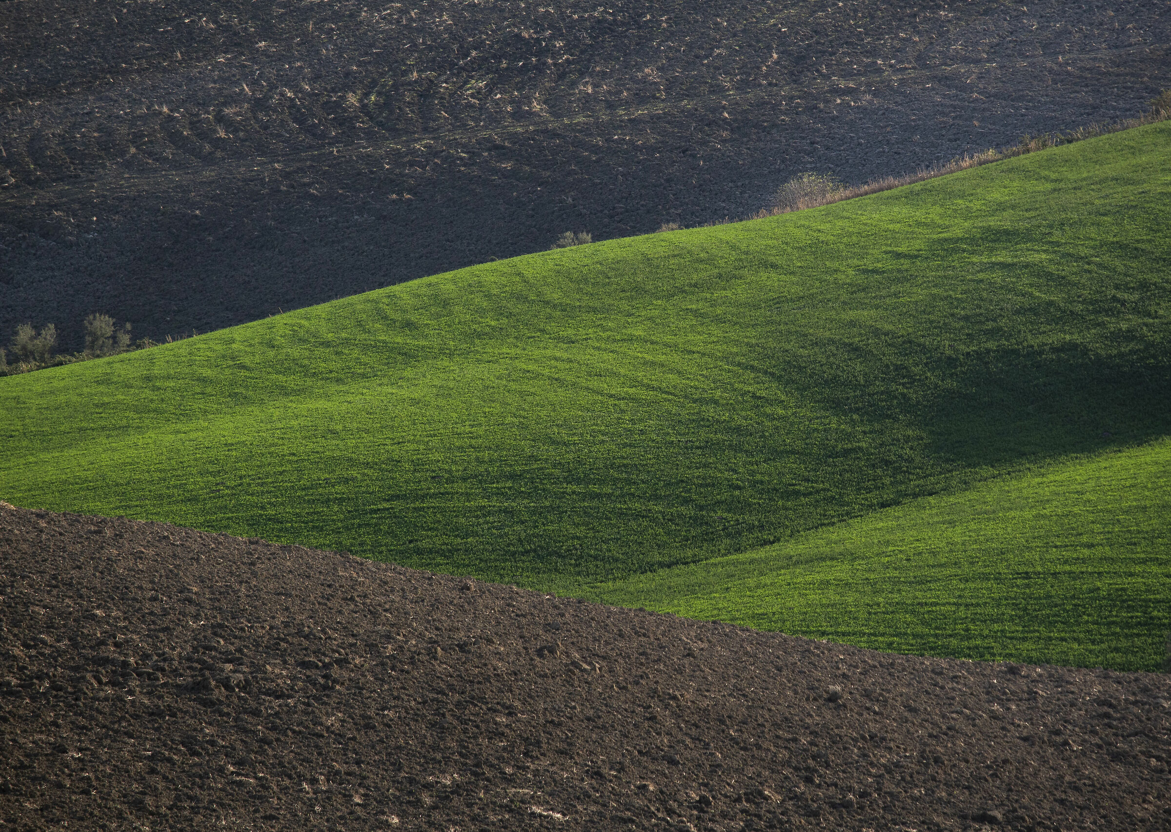 The autumn flag of Val D'Orcia