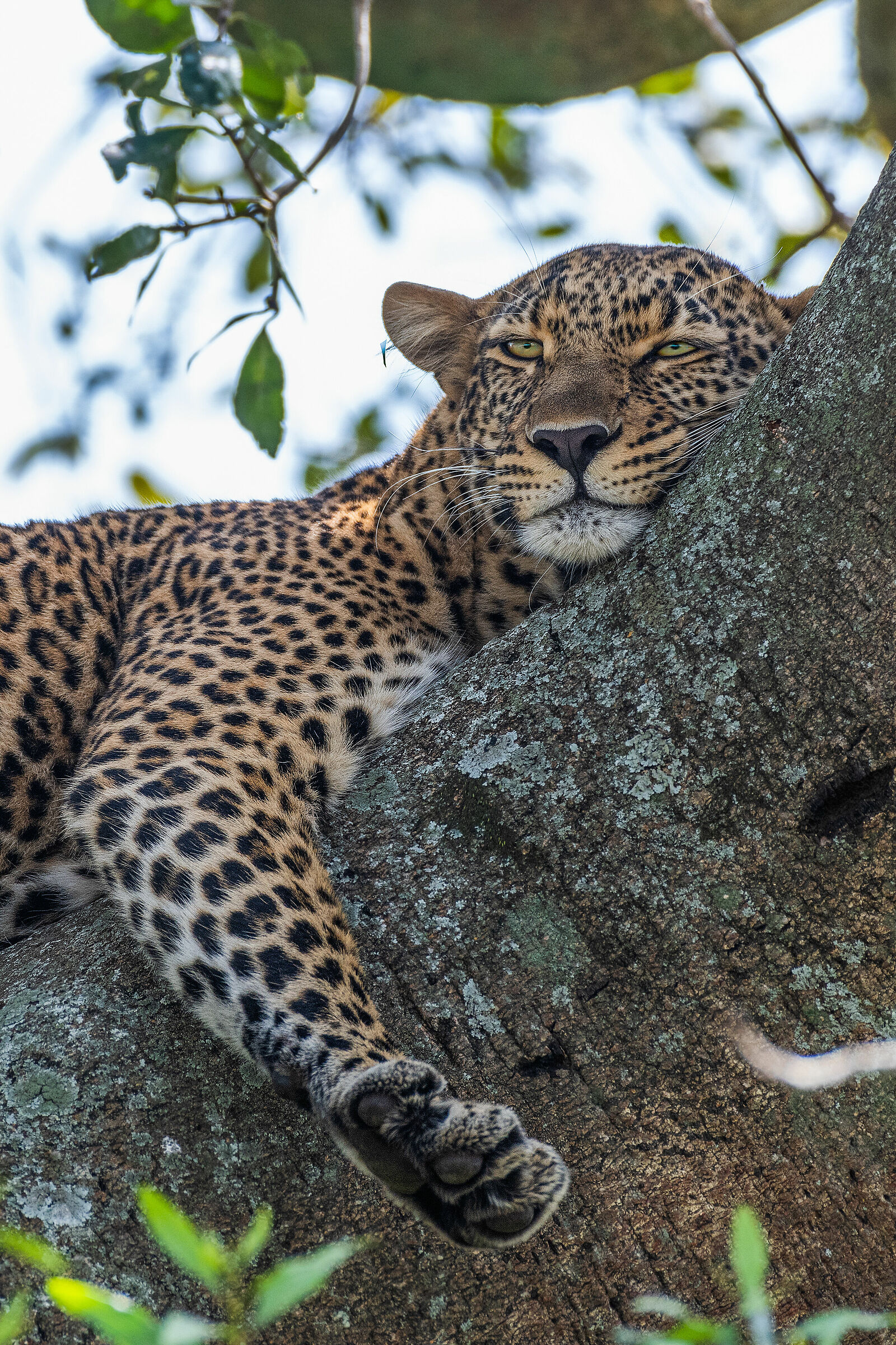 One minute more in the bed