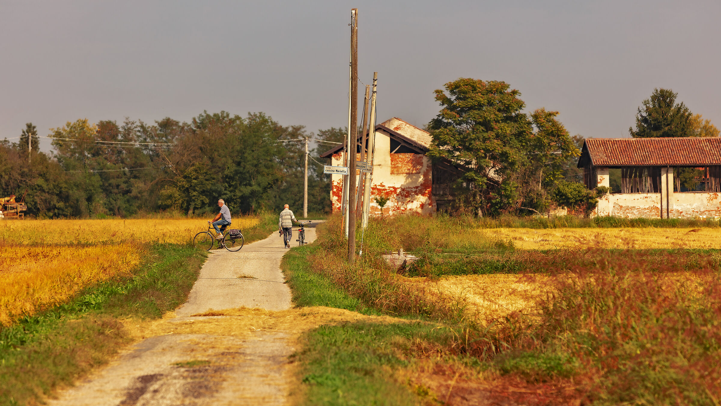 Who goes slowly goes healthy and goes far