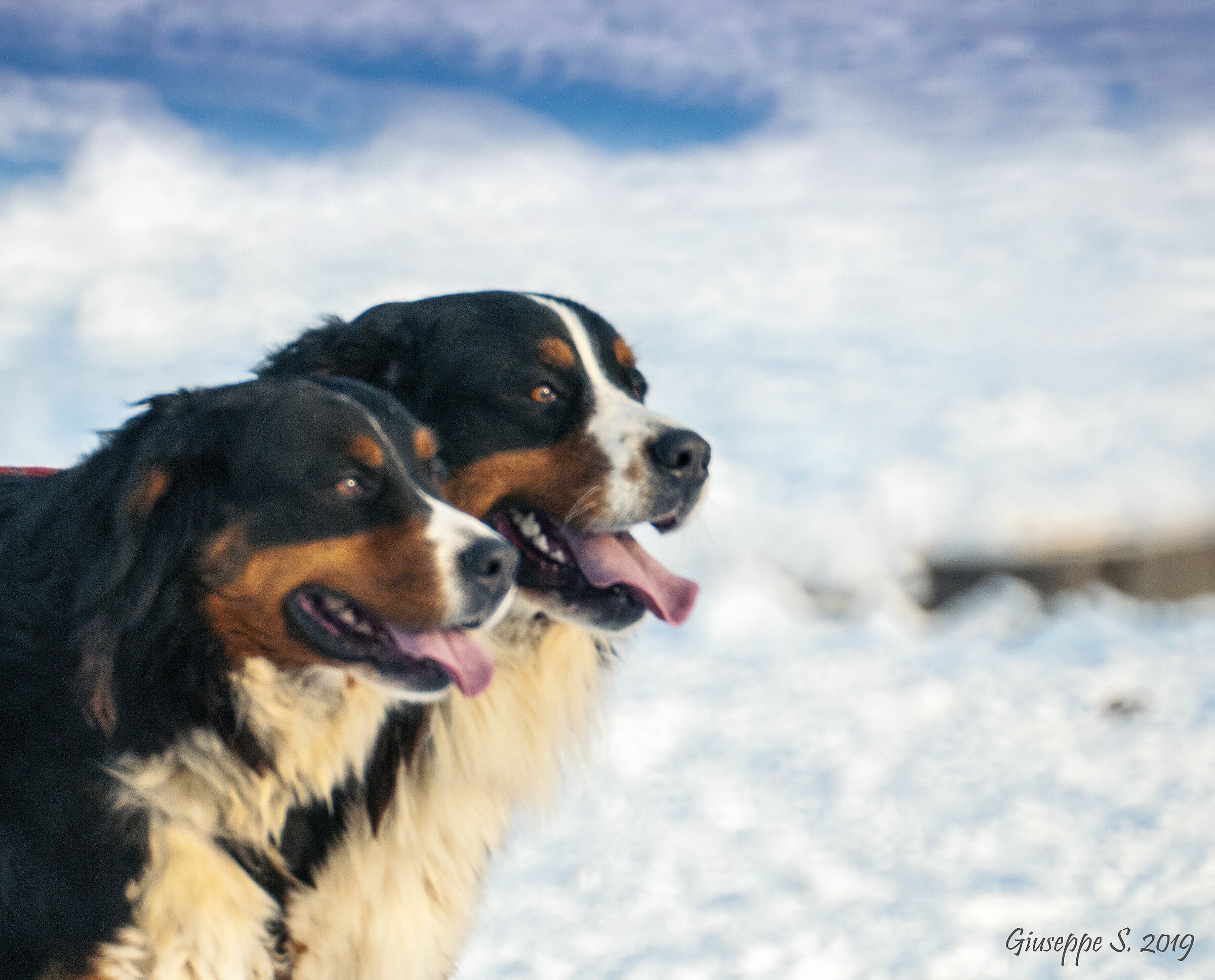 A passeggio in coppia