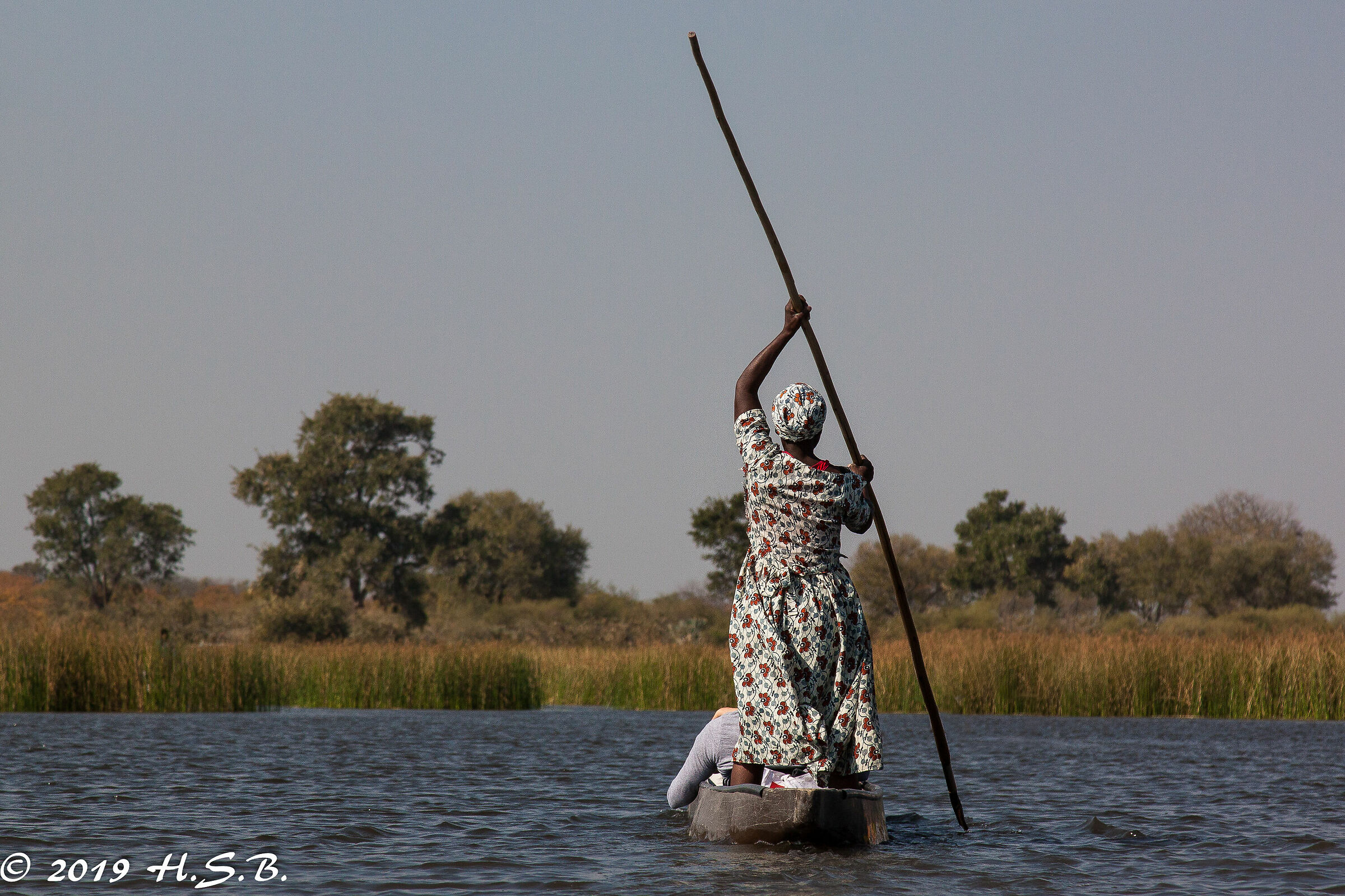 sailing on the Okavango