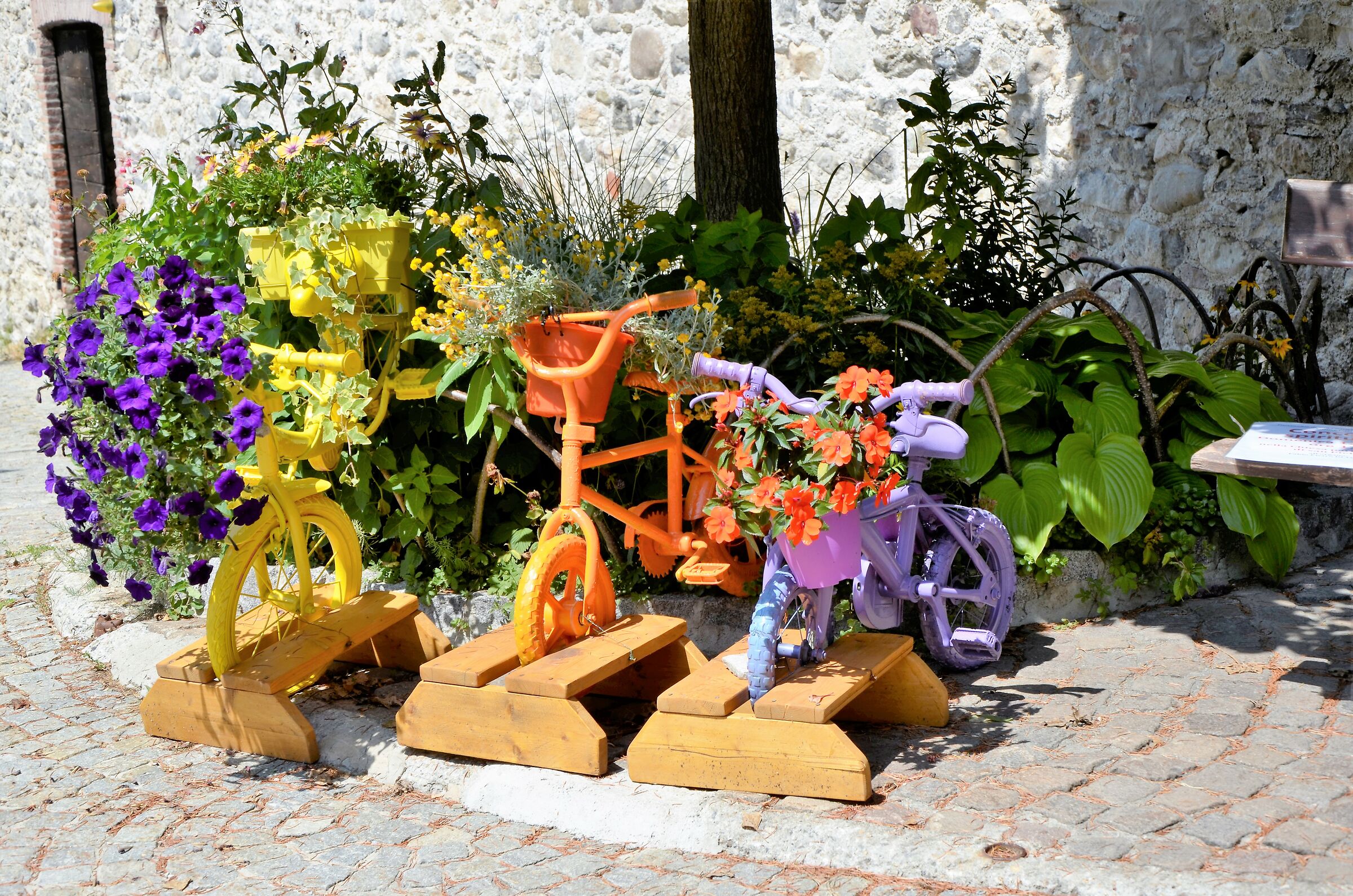 bicycles in Lemon Piedmont