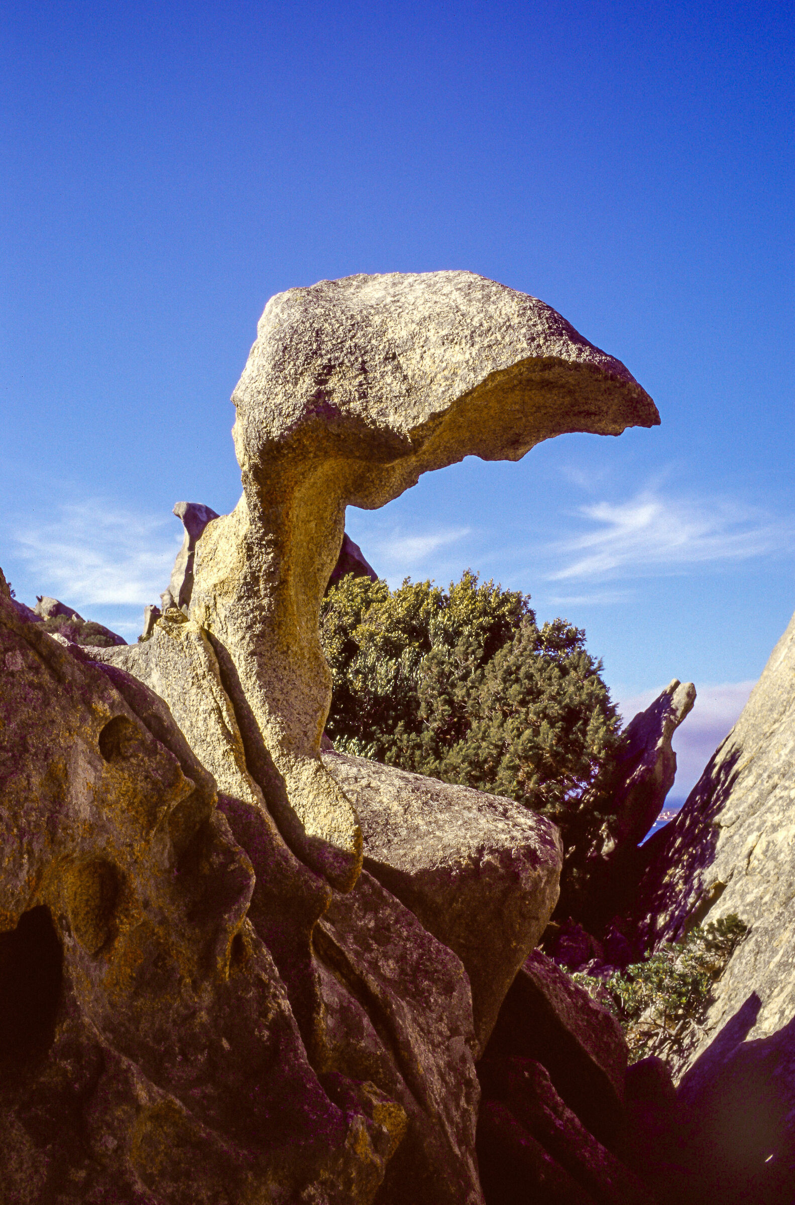 Sardegna '03-"Granitica" scultura naturale-Cap...