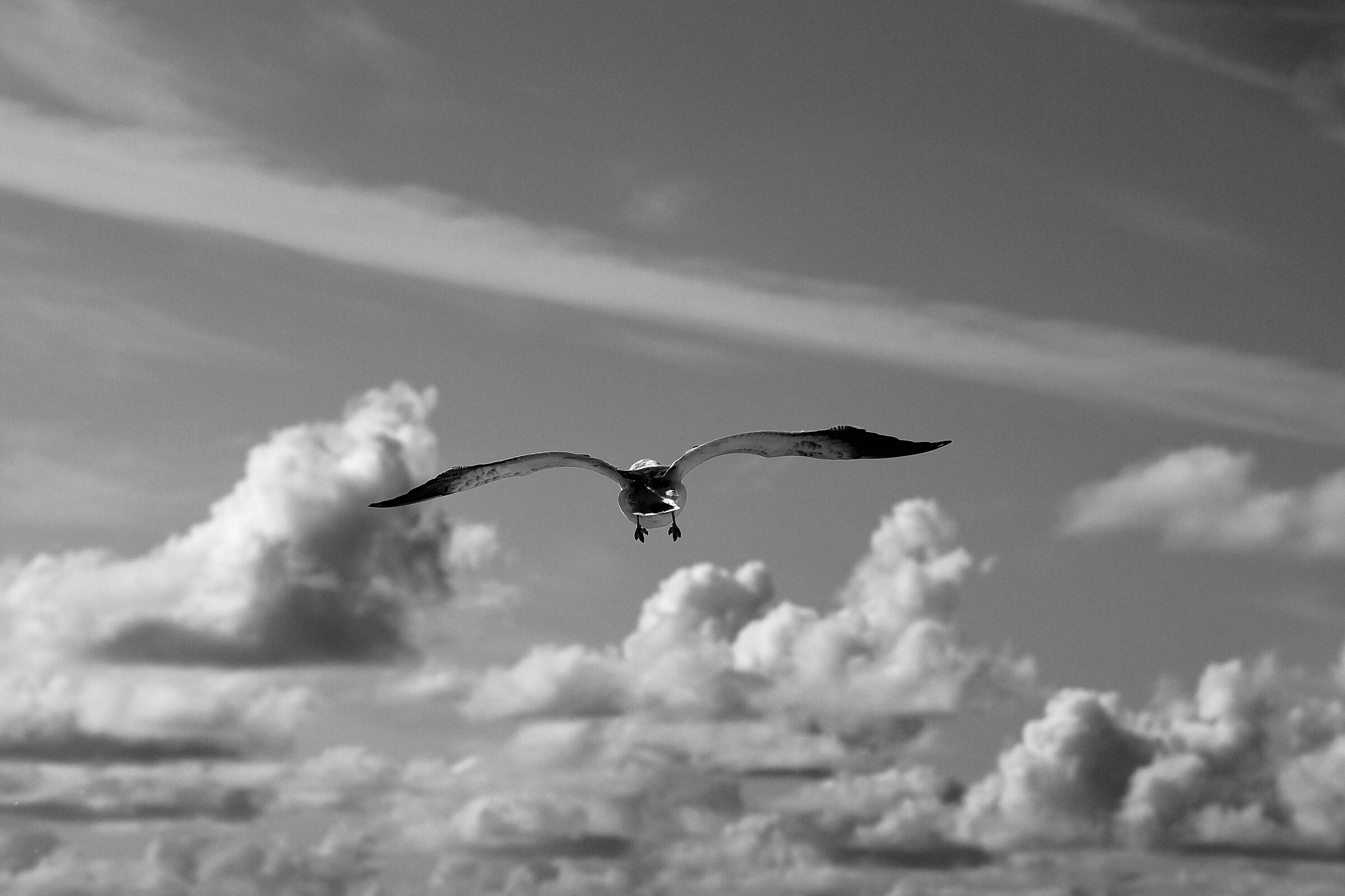 Volo via
