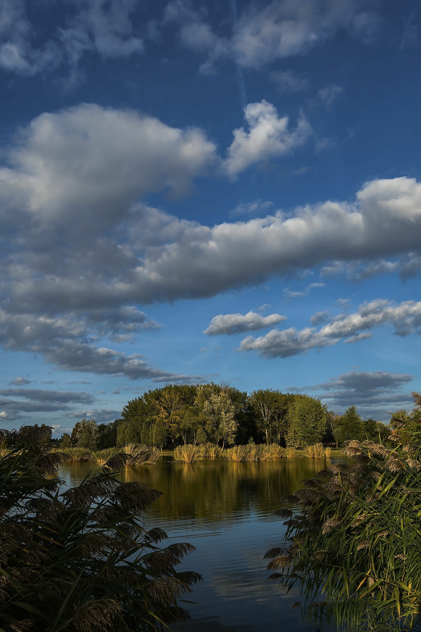 Stato d'animo di ottobre