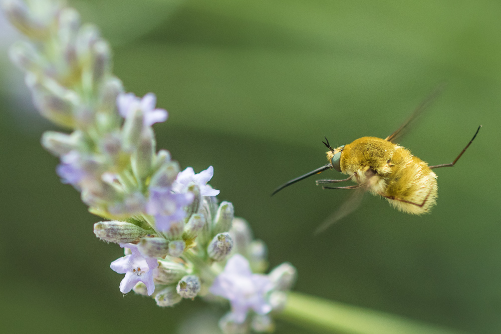 Aspetta!!! Ma dove corri???