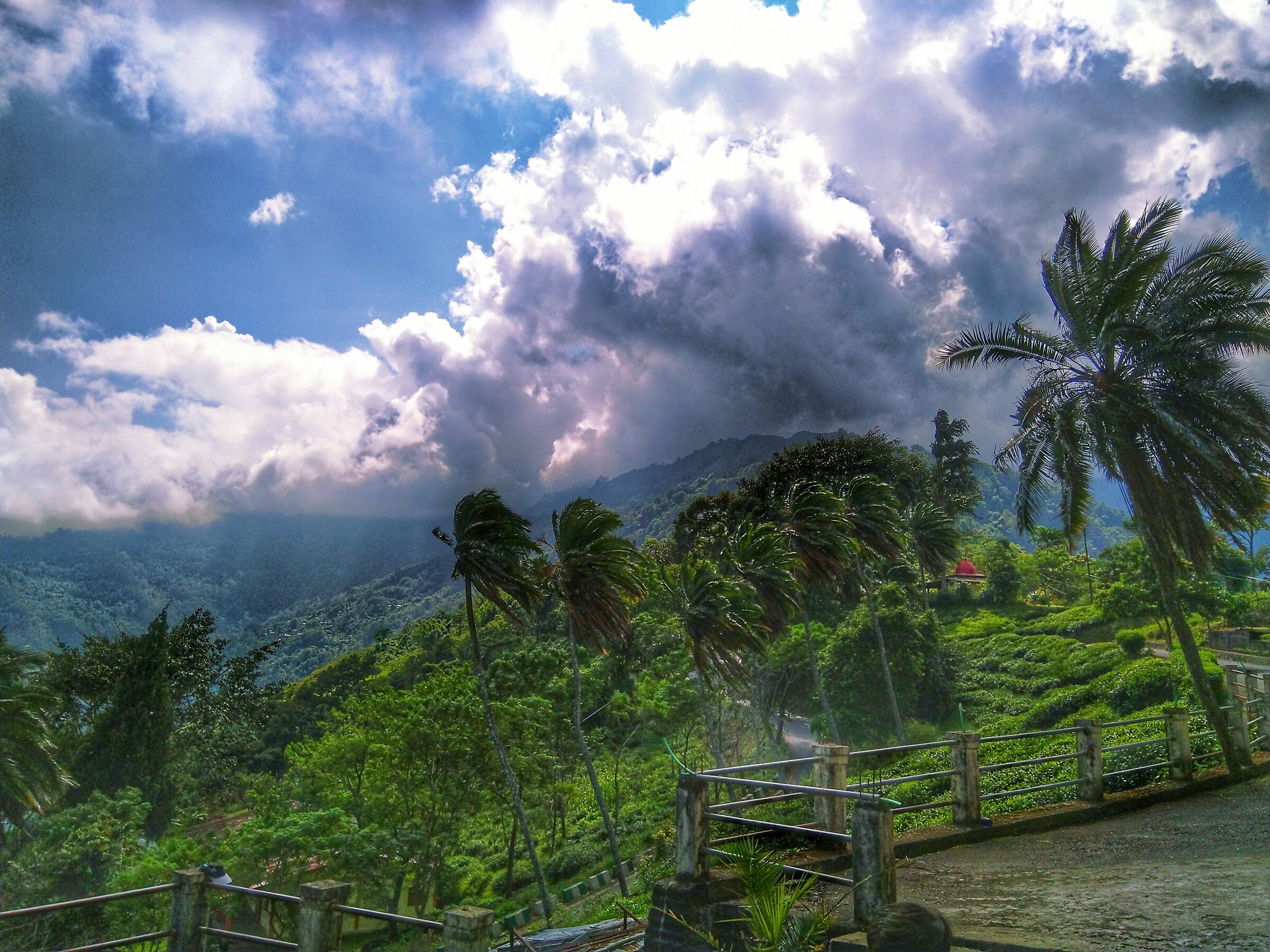 Da qualche parte là fuori